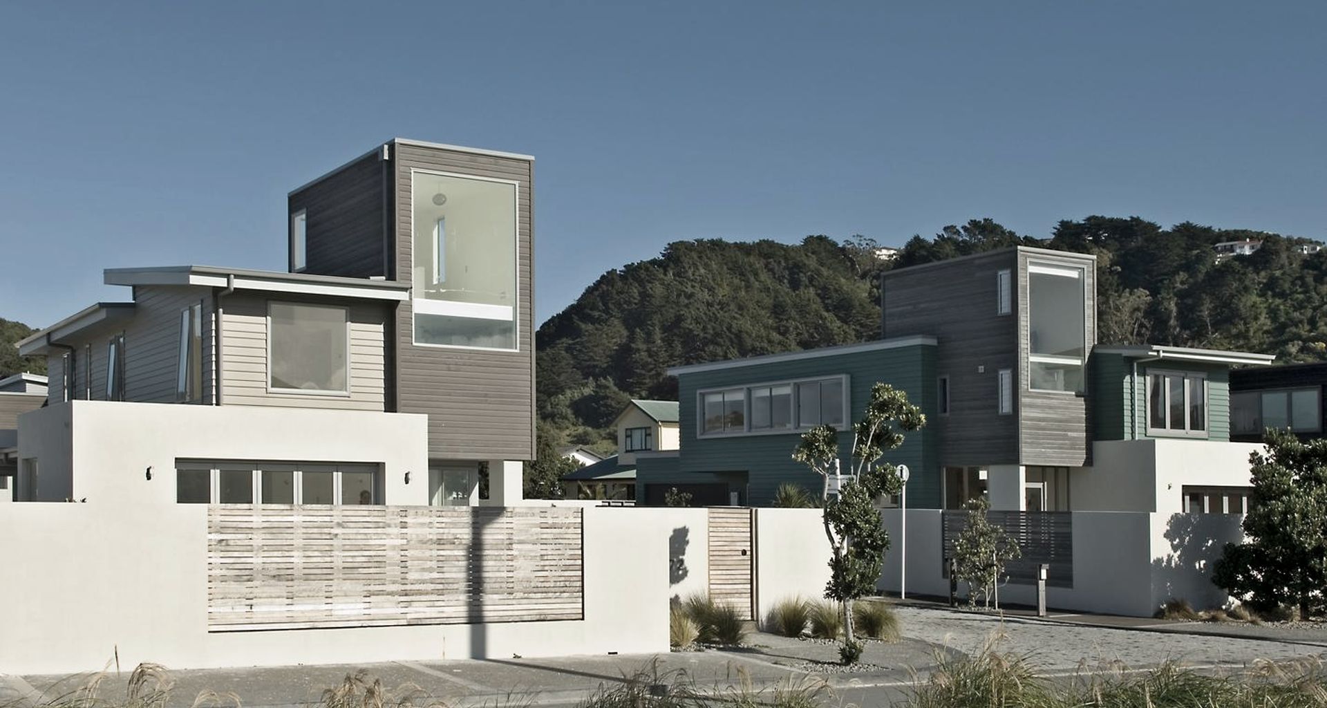 Seatoun Beach Housing banner