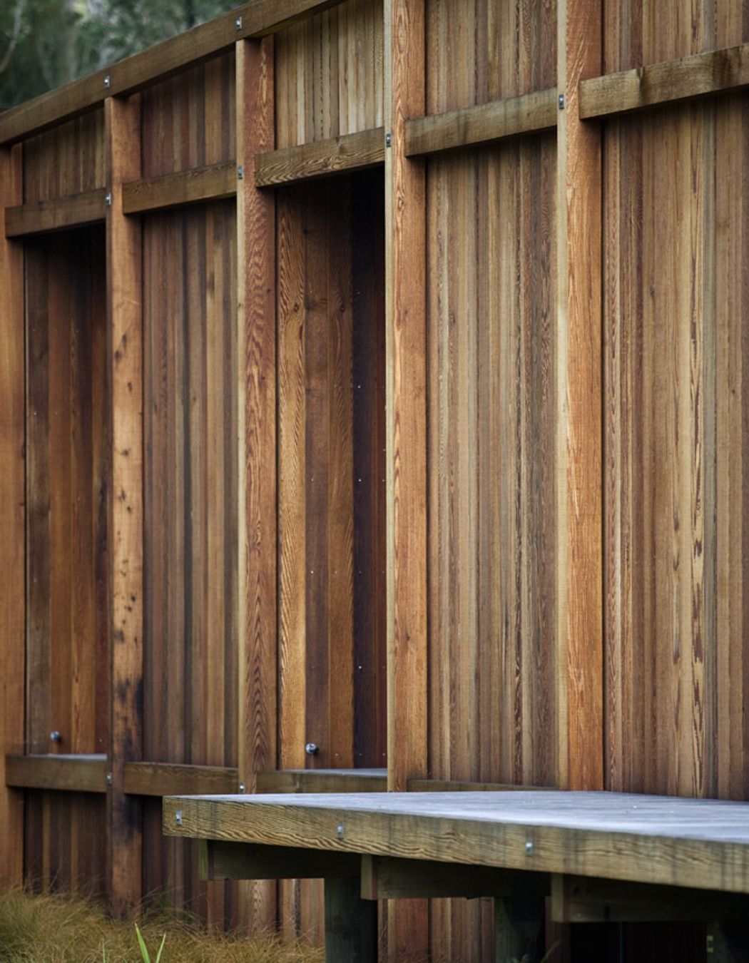 Great Barrier Island House