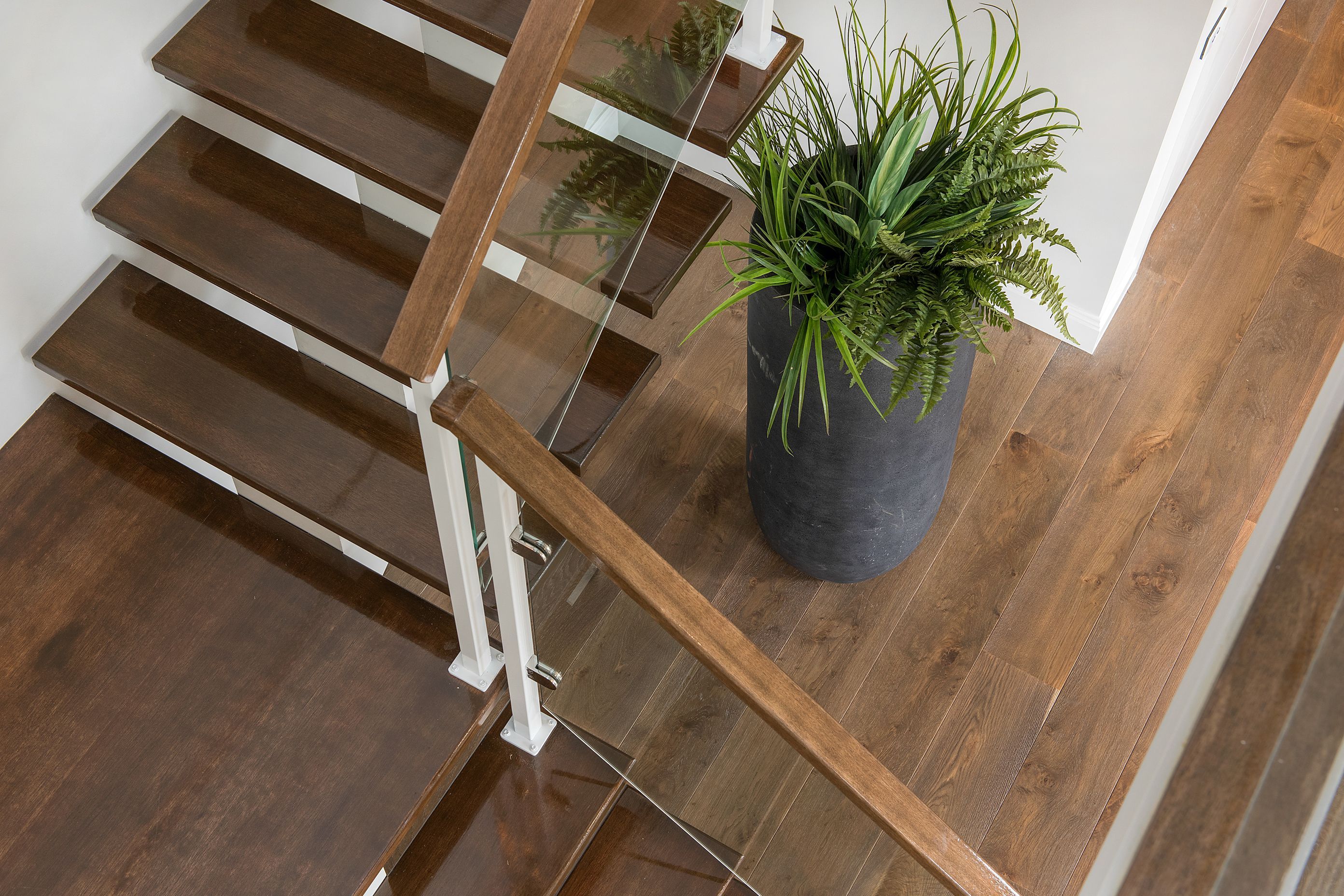 Arnold St French Oak Flooring