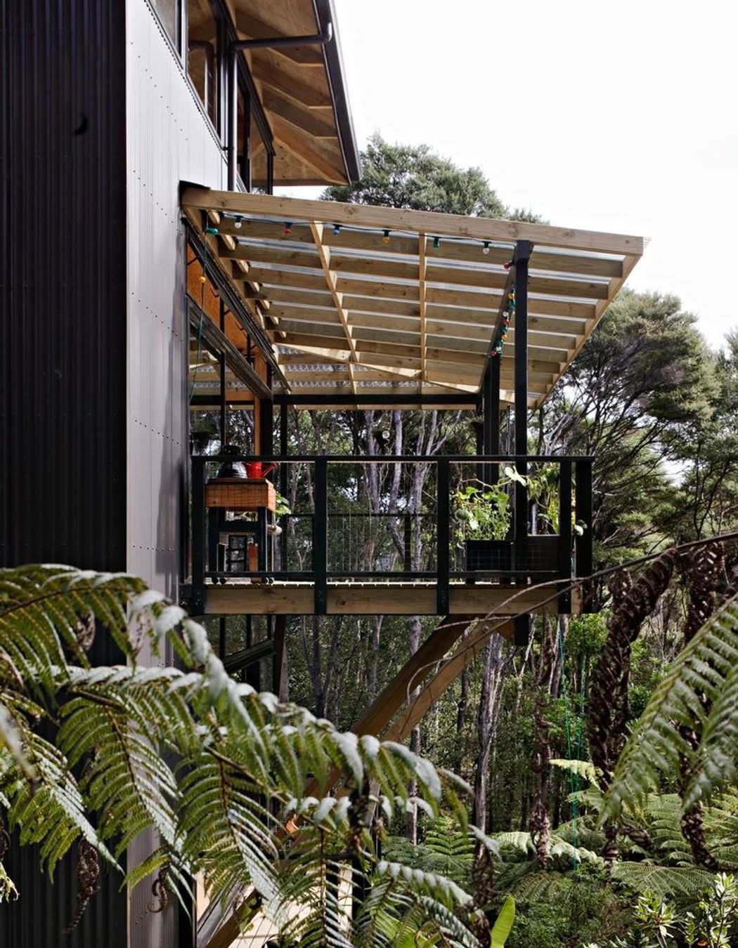Titirangi House in the Trees