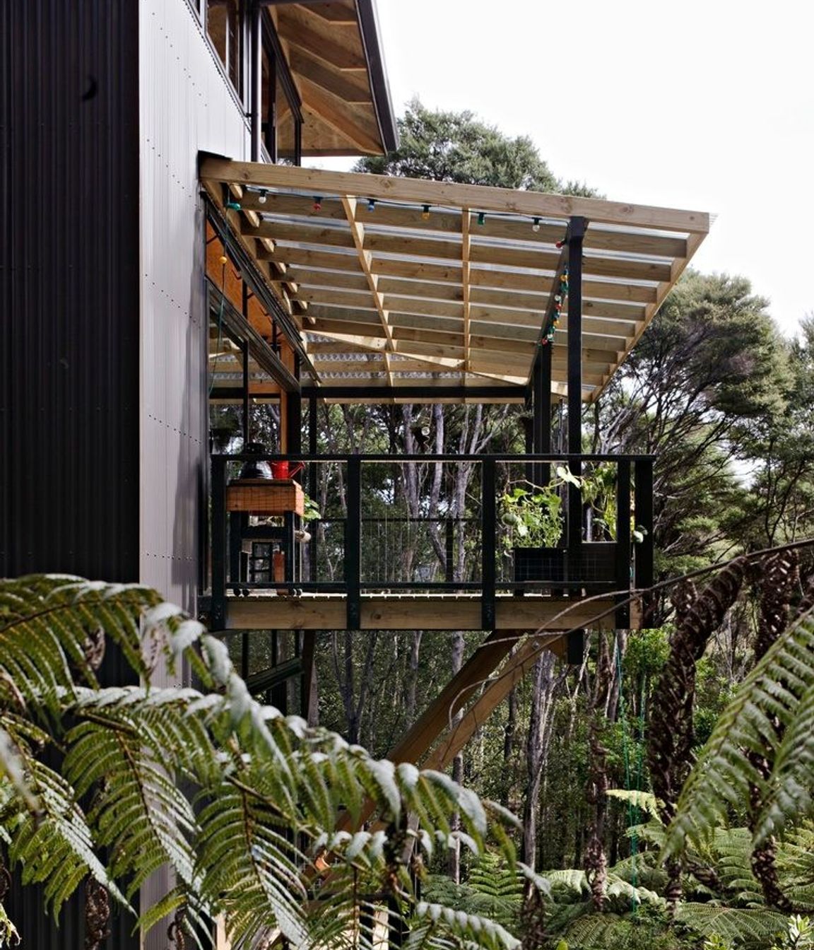 Titirangi House in the Trees