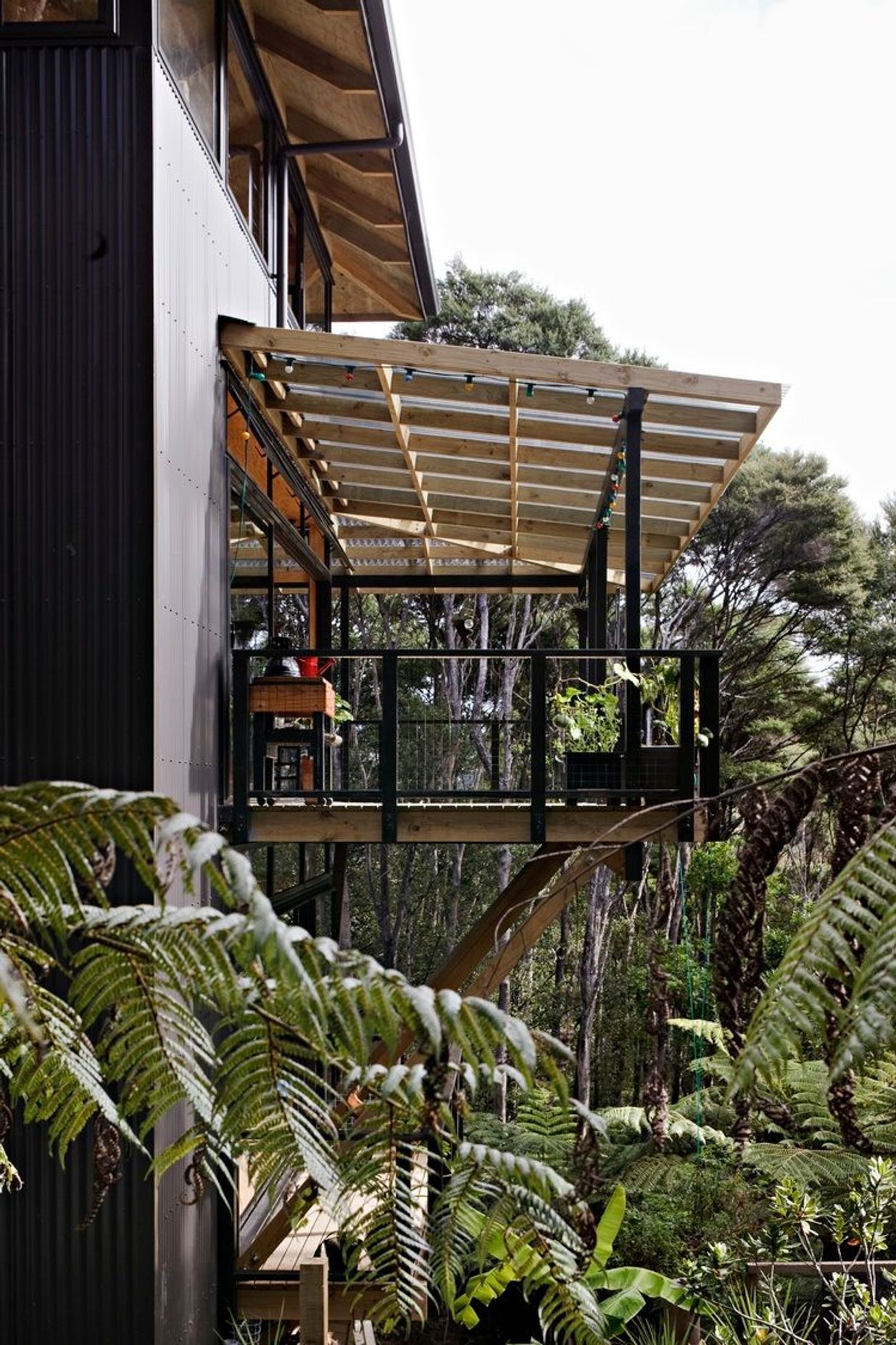 Titirangi House in the Trees
