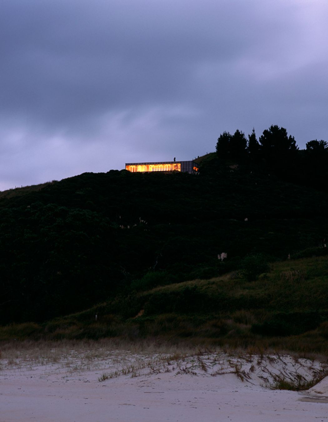Coromandel Bach