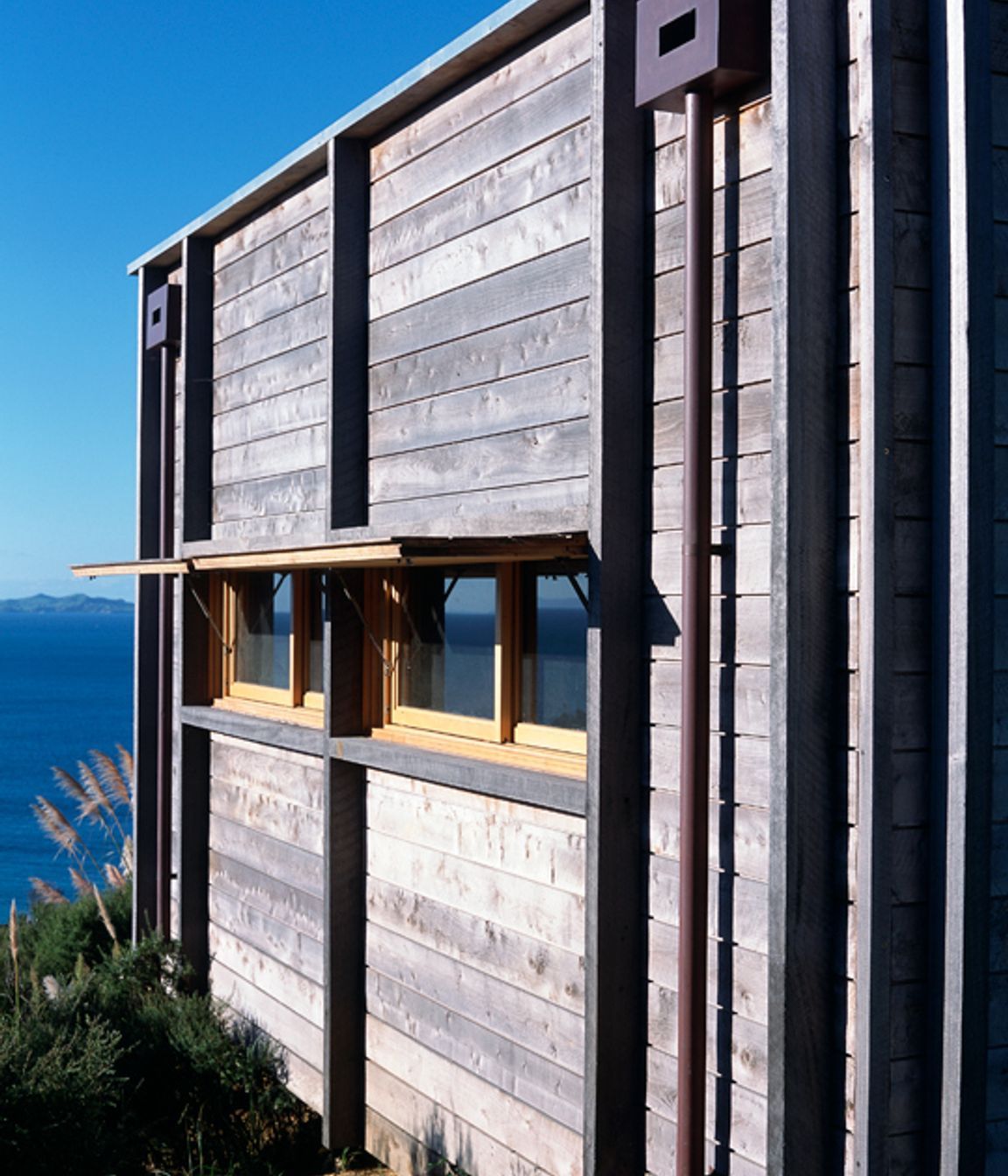 Coromandel Bach