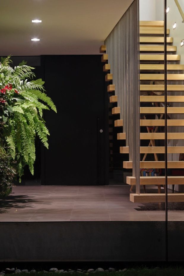 A sophisticated interior entry or foyer viewed through glazing, featuring an open-riser timber staircase with slim dark metal balustrade and vertical screen, dark walls, large-format dark flooring, recessed ceiling lights, and lush indoor planting. The space has a dramatic, refined contemporary character with strong contrast between black finishes and warm timber stair treads.