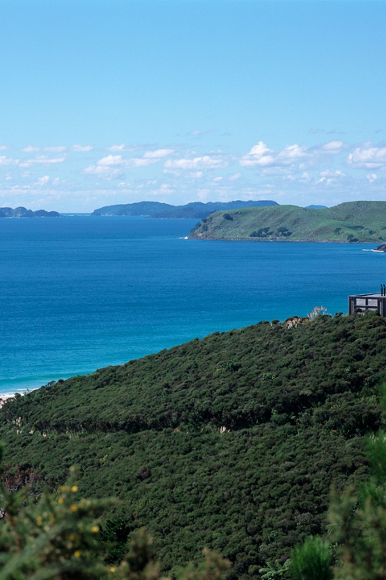 Coromandel Bach