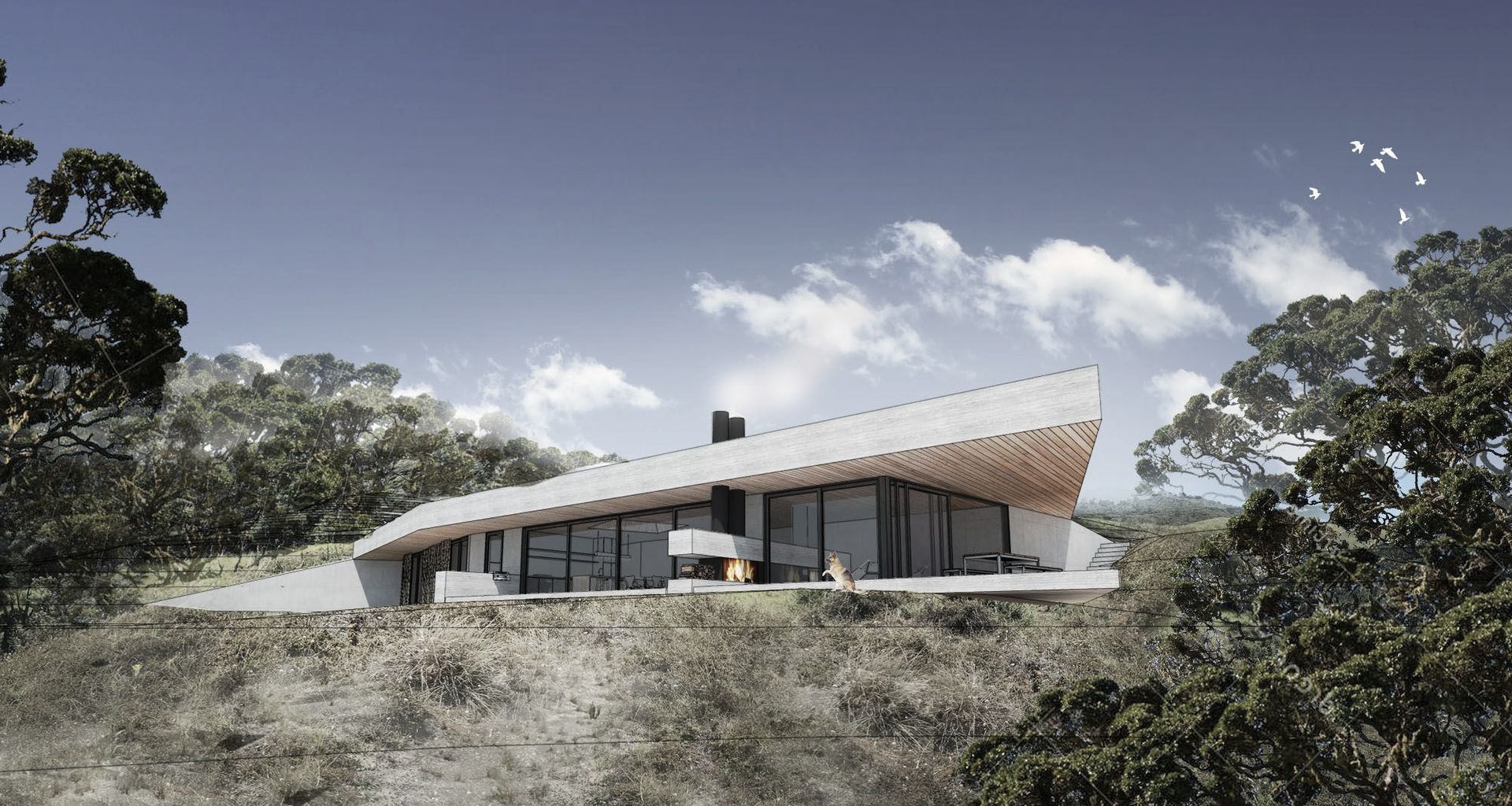 Great Barrier Retreat banner