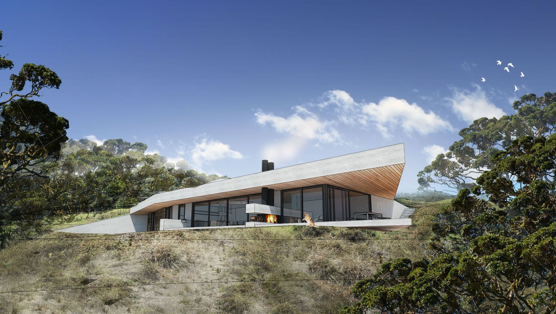 Great Barrier Retreat banner