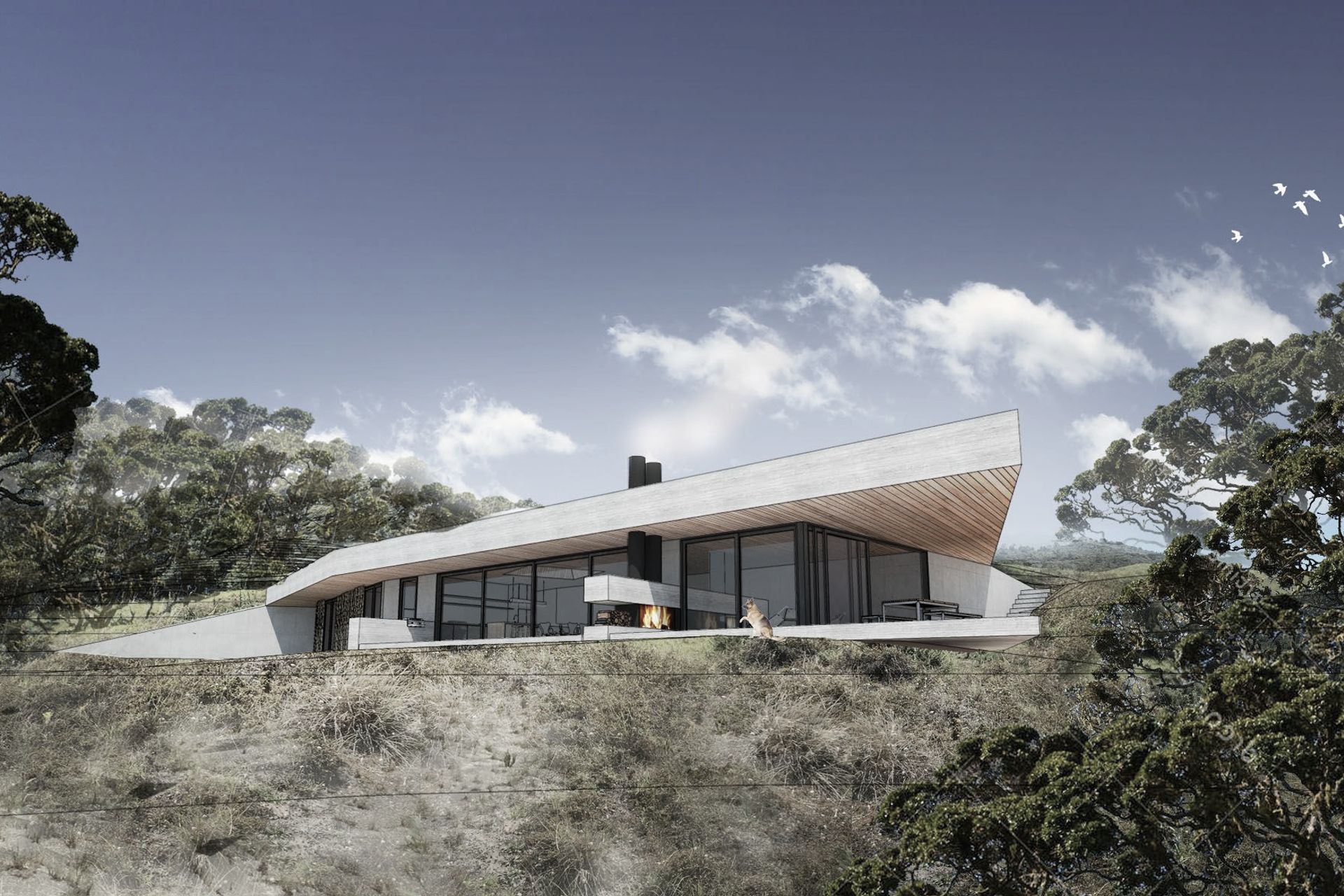 Great Barrier Retreat