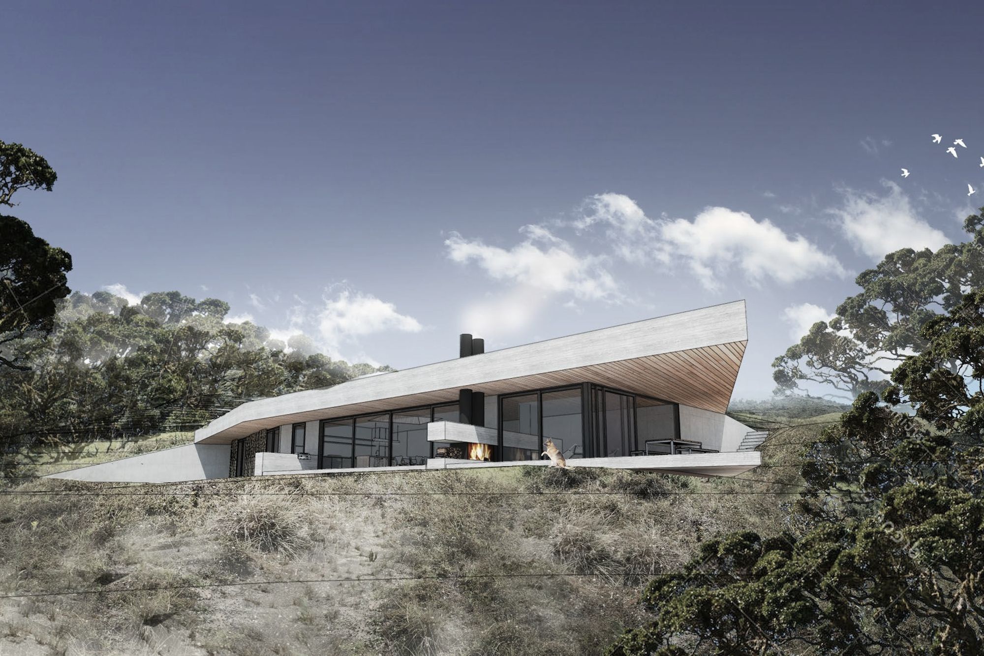 Great Barrier Retreat