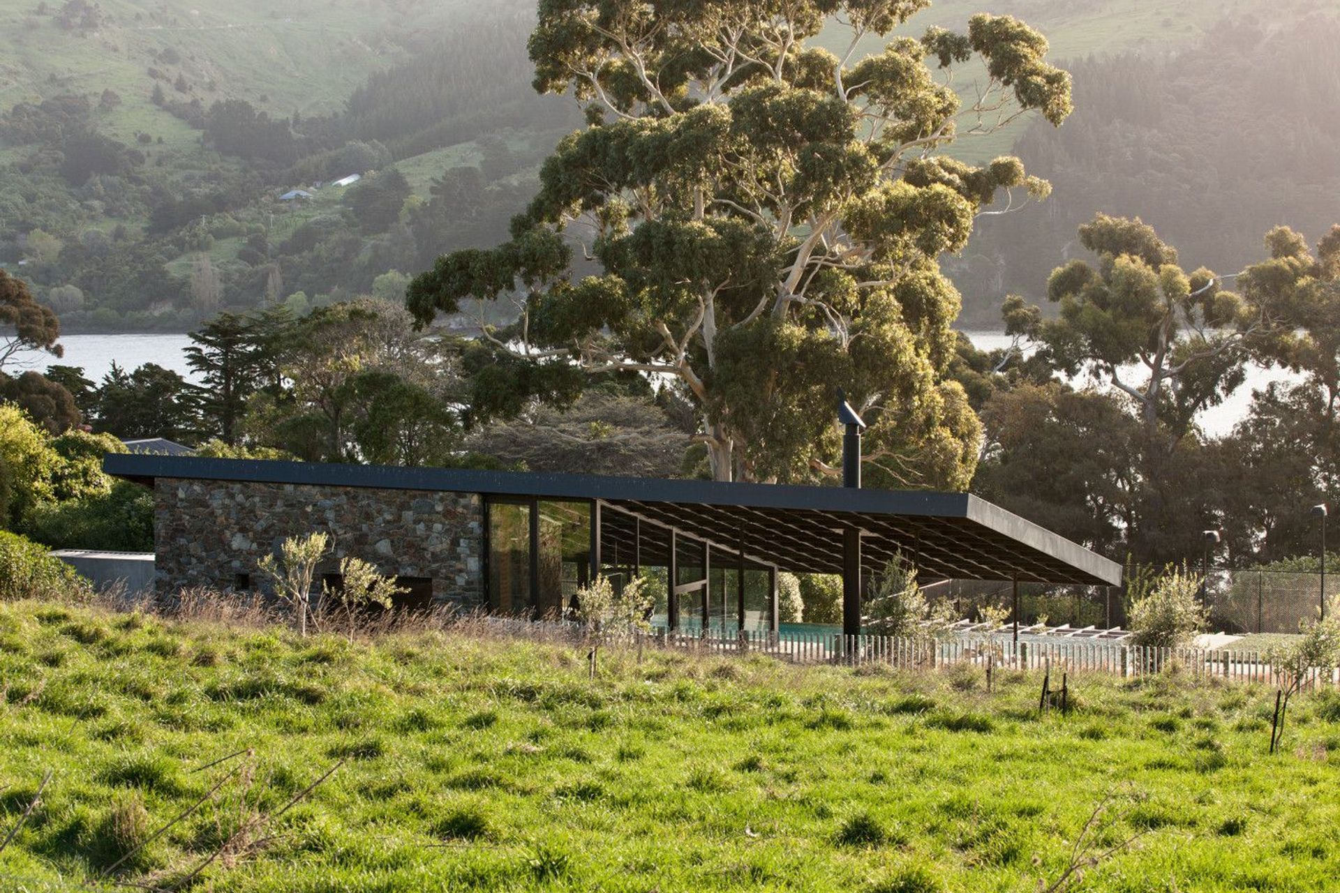 Annandale Olive Grove