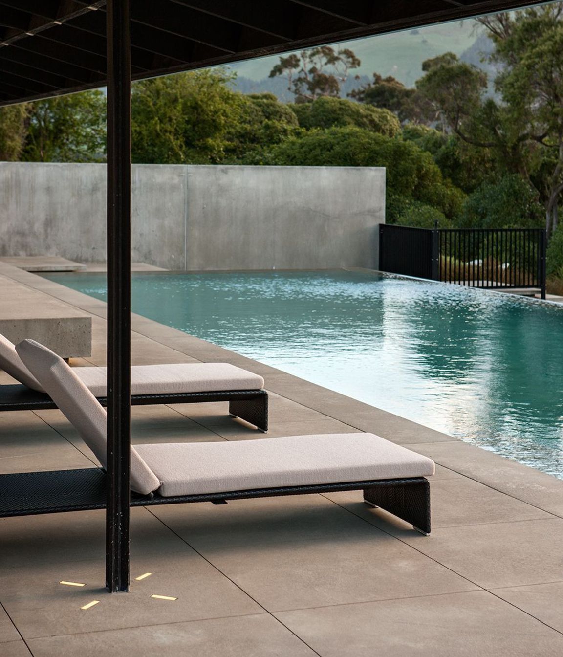 Annandale Olive Grove