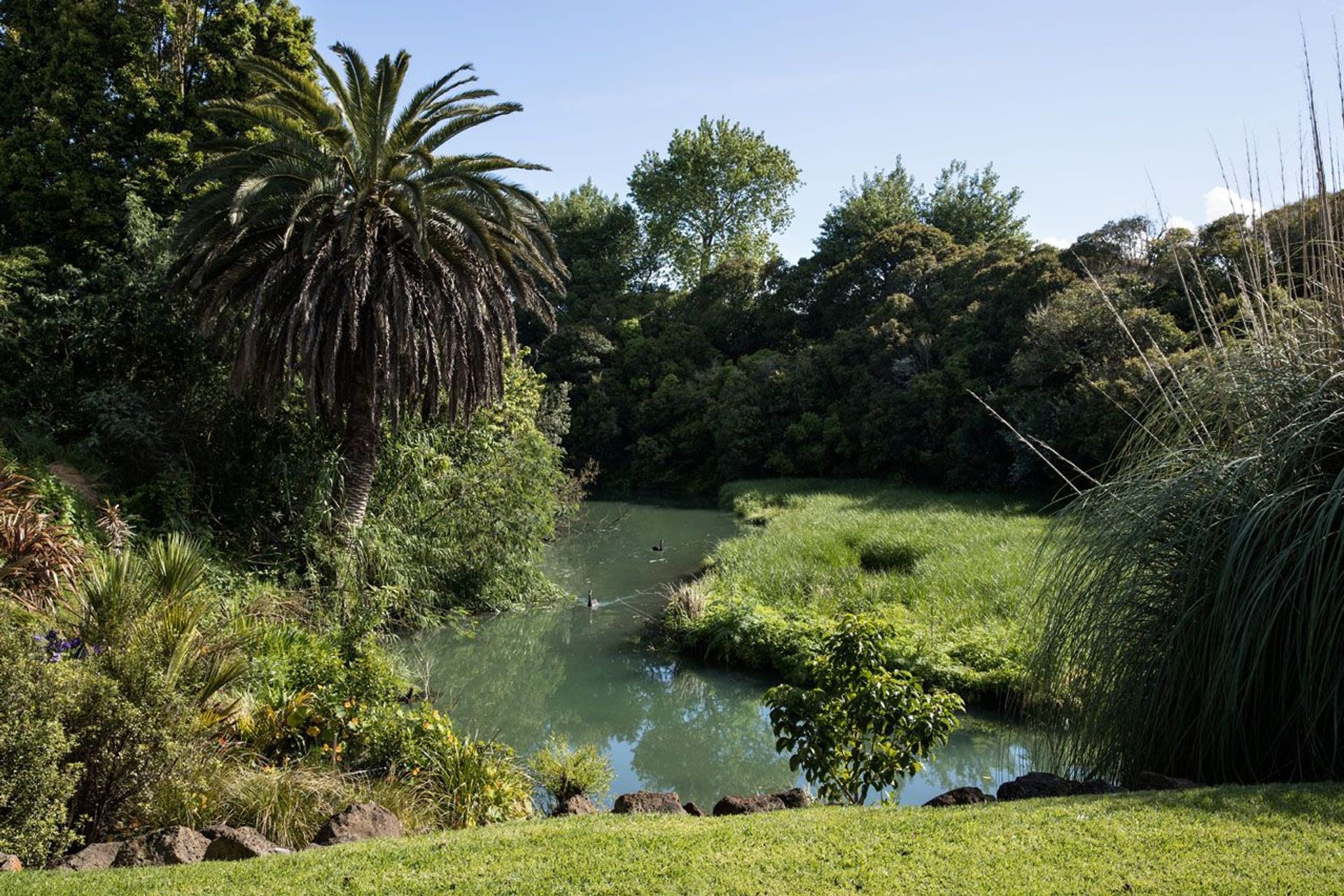Point Chevalier Residence