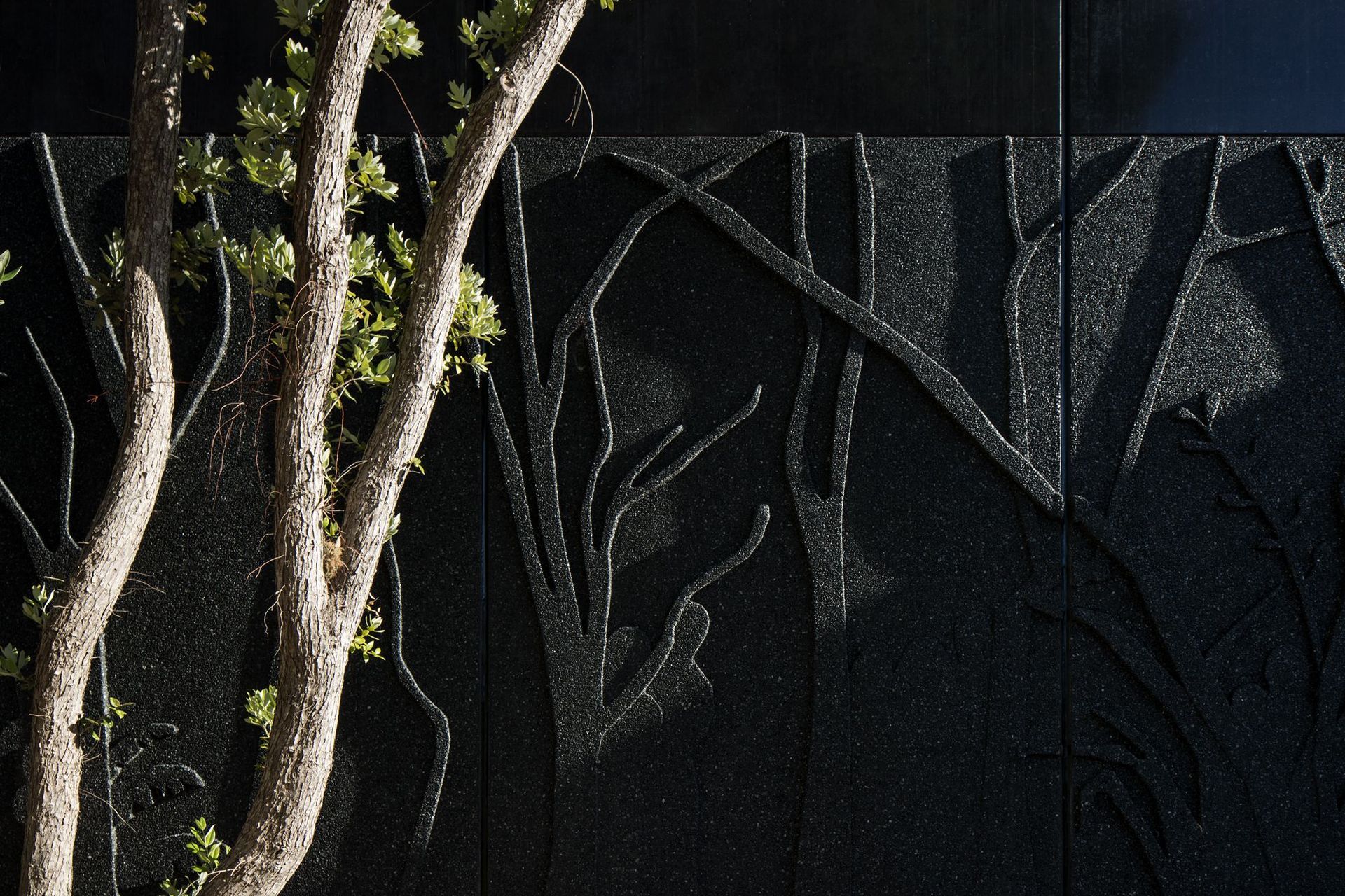 Museum of Waitangi