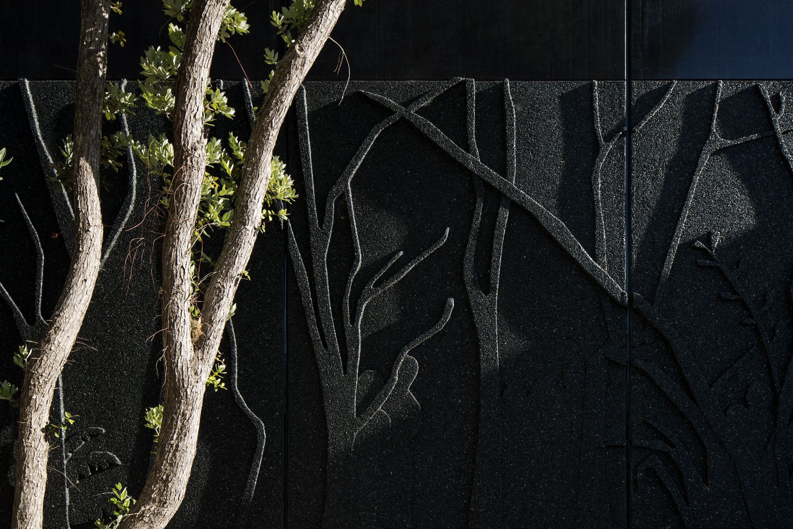 Museum of Waitangi