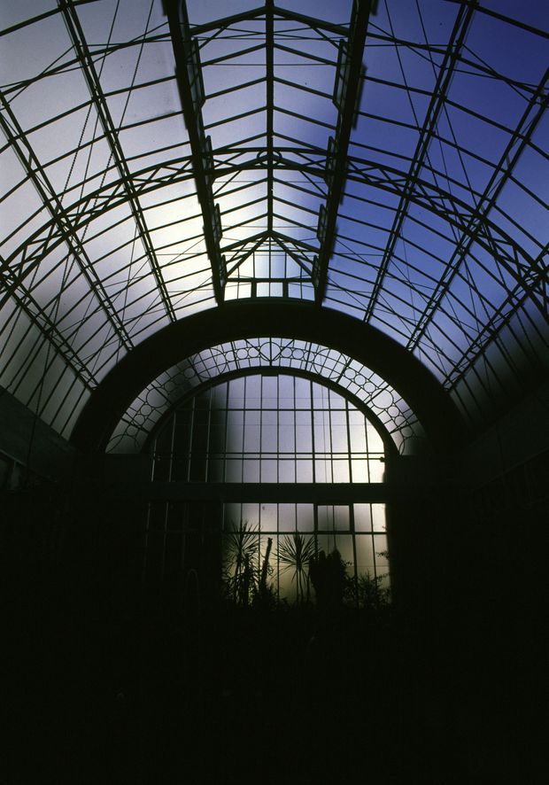 A dramatic interior view looking up through a large arched glass roof and glazed end wall. Dark metal structural ribs and trusses form a symmetrical vaulted framework, with decorative circular glazing details around the arch. Silhouetted plants occupy the lower foreground, while cool blue and pale daylight filter through the glass.