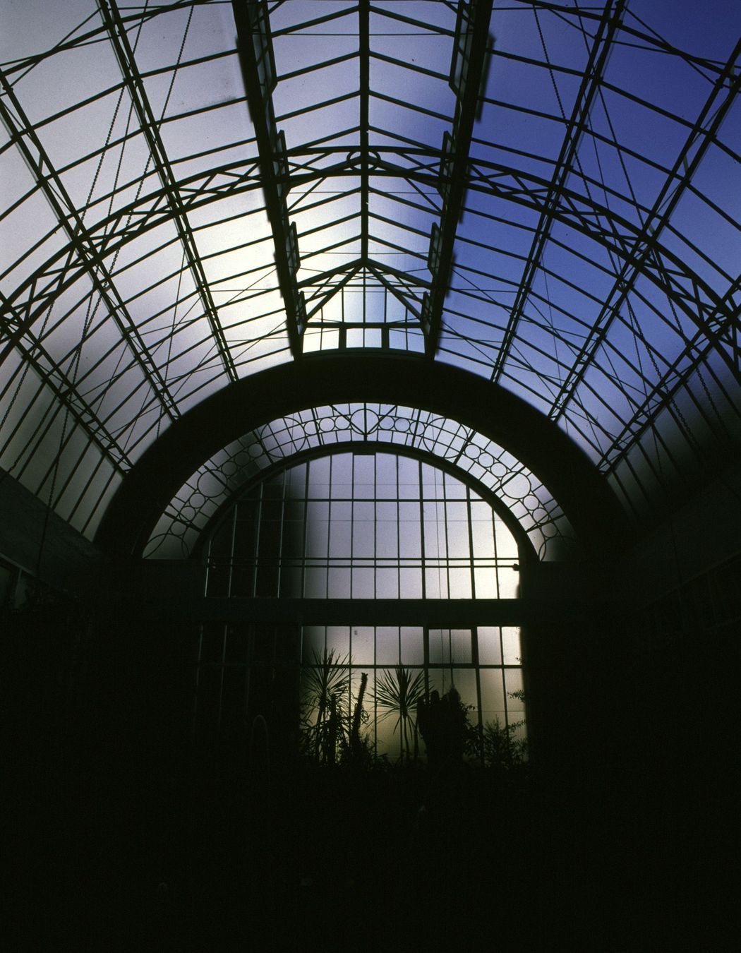 Wintergardens