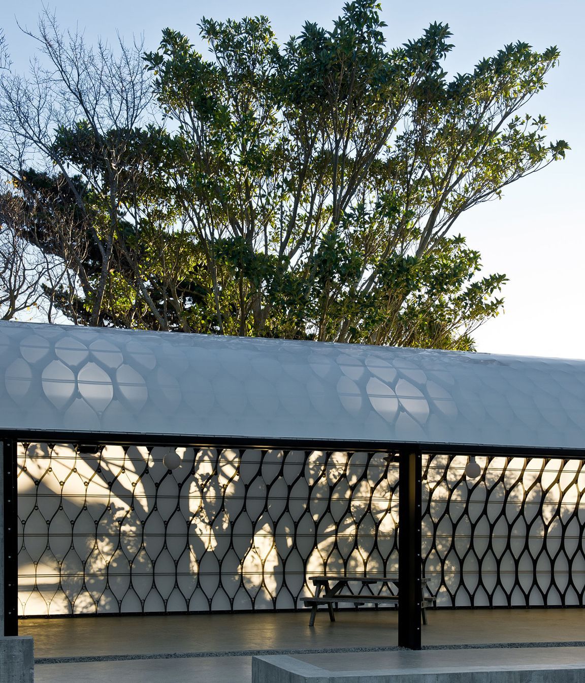 The Wellington Zoo Hub