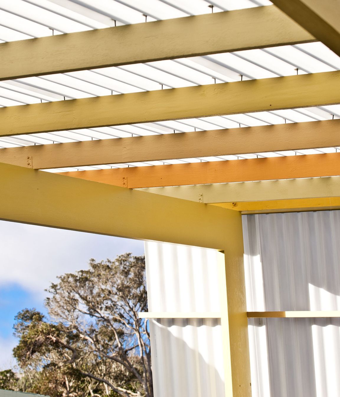 The Wellington Zoo Hub