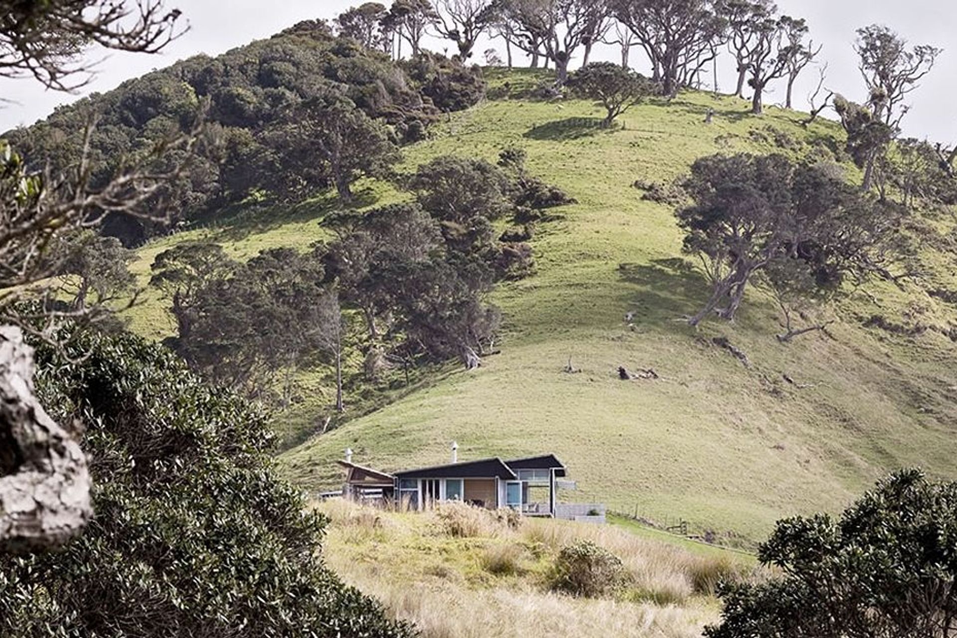 Bream Tail House Mangawhai Heads
