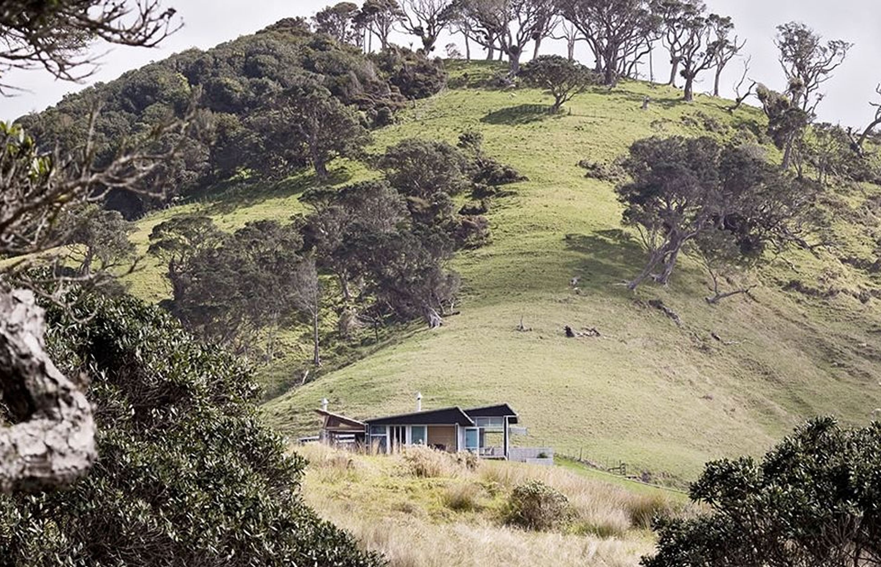 Bream Tail House Mangawhai Heads