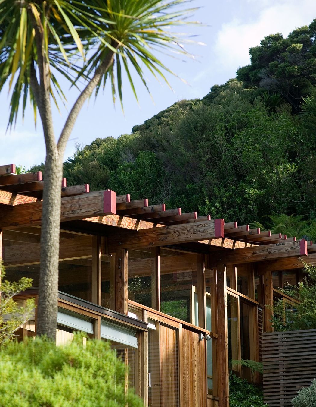 Island Complex
