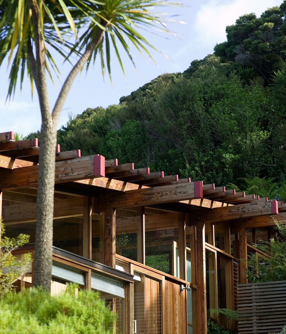 Island Complex