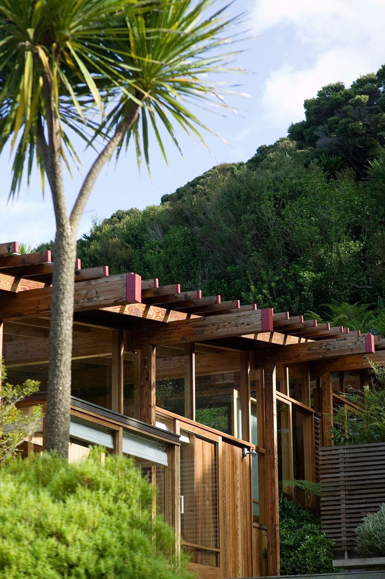 Island Complex