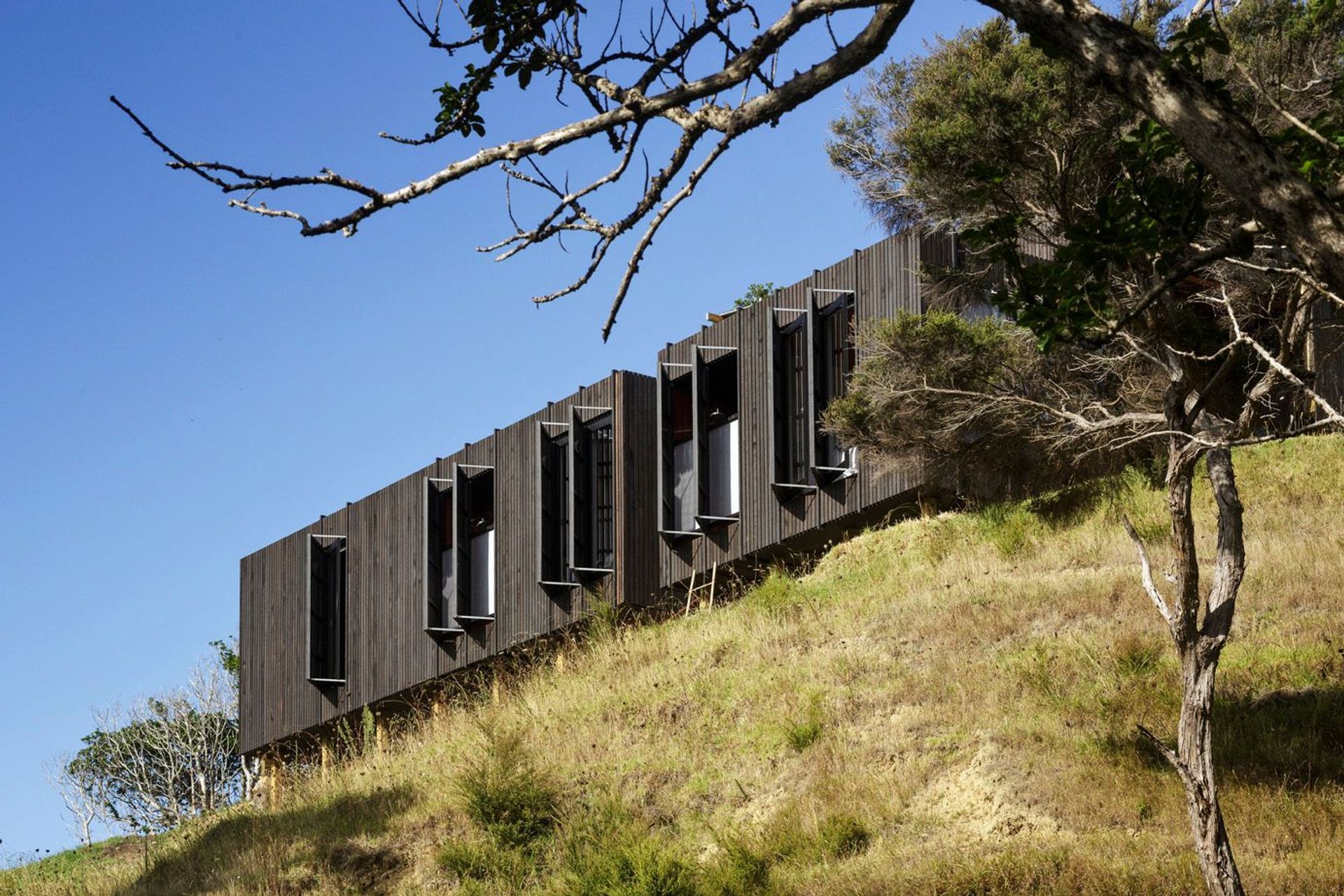 Castle Rock | Whangarei Heads, Northland