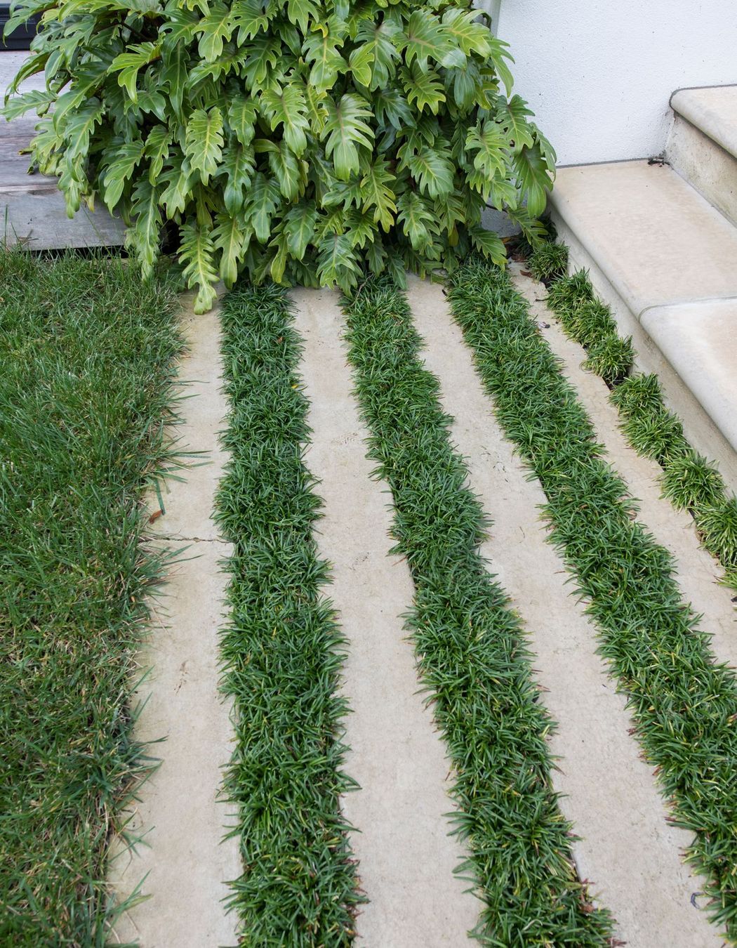 Principle Home Residence