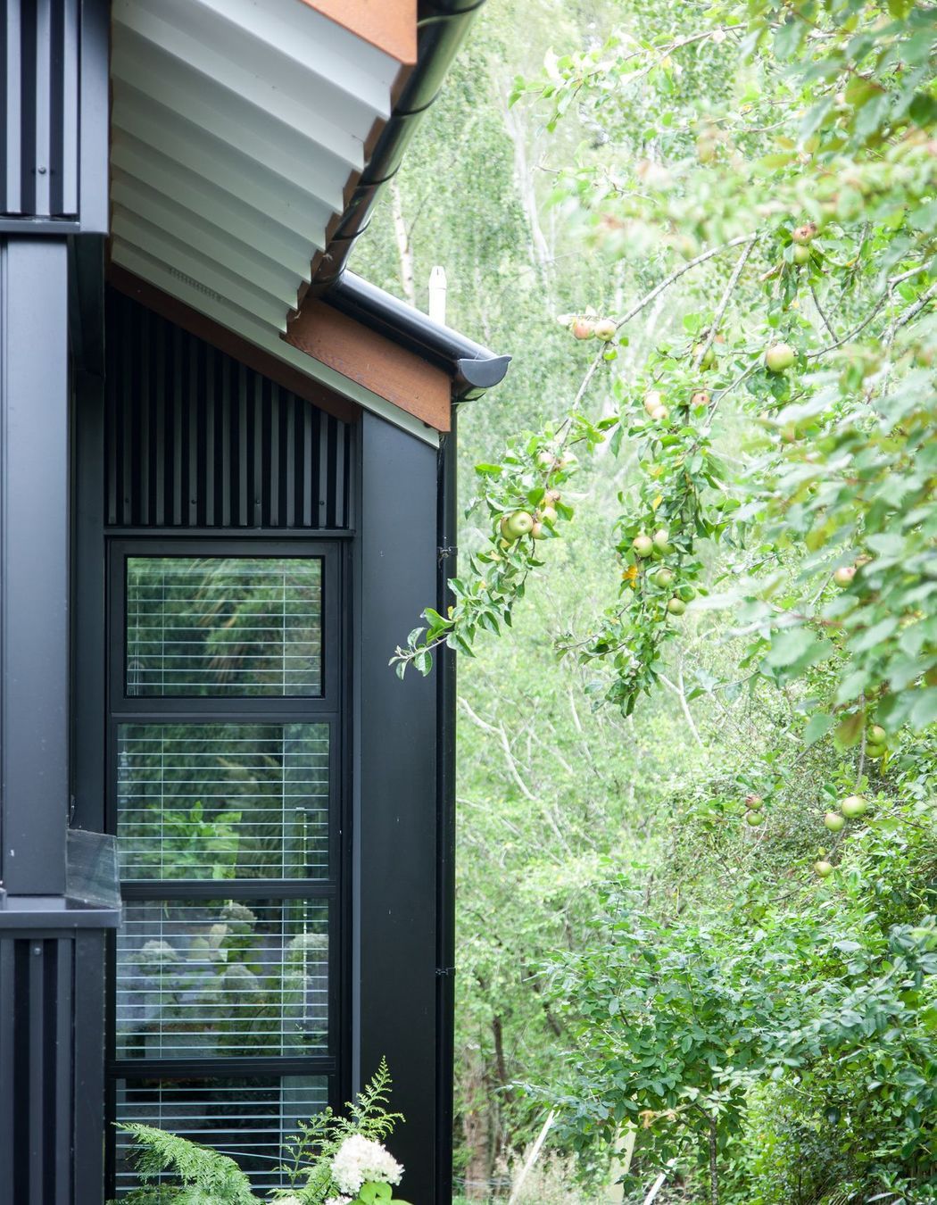 Woodland Cottage