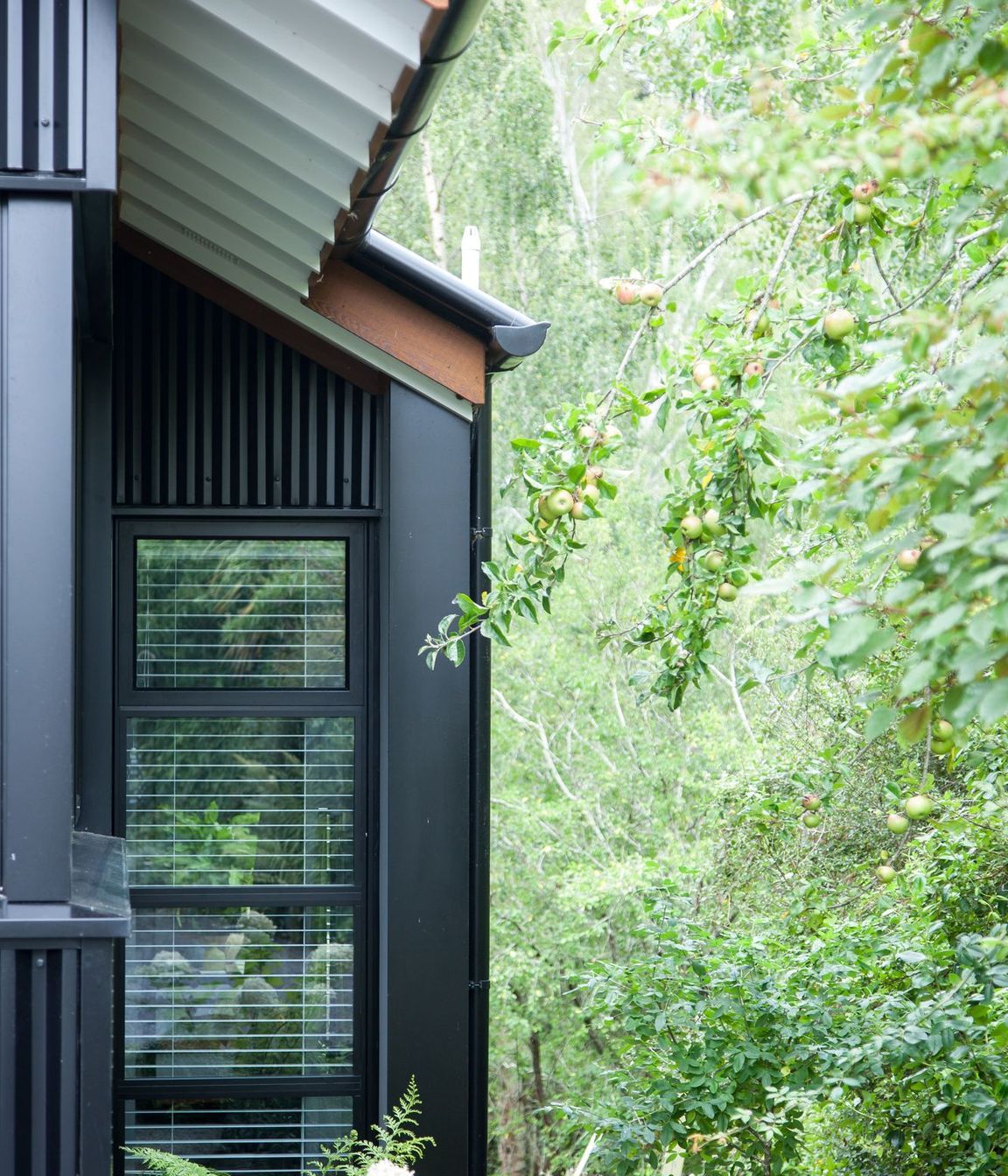 Woodland Cottage