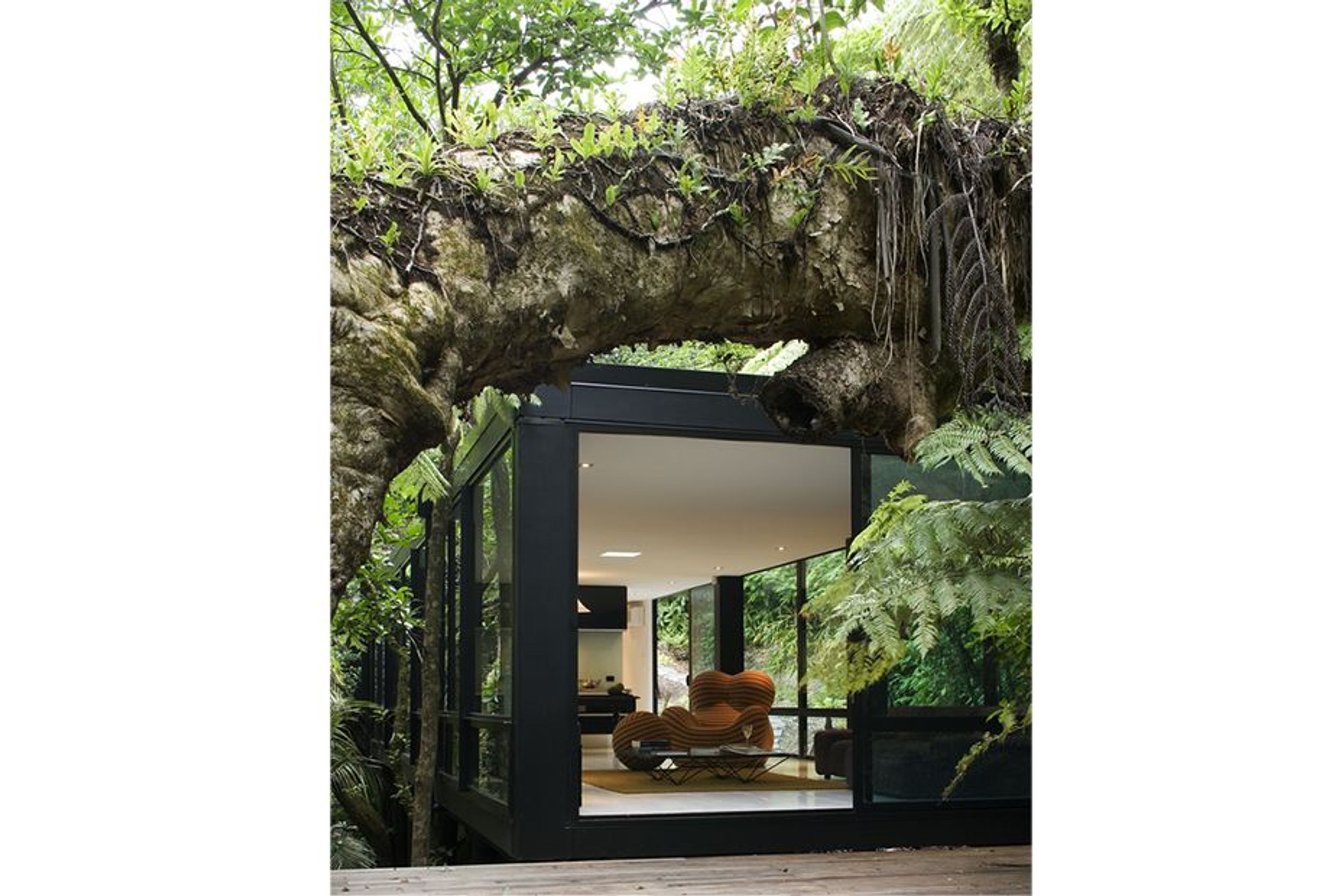 Forest House