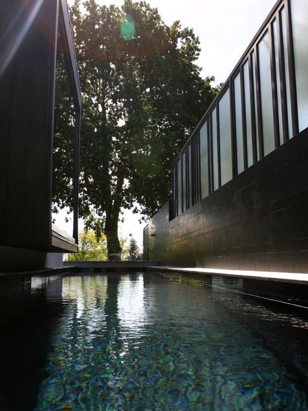 A narrow architectural courtyard with a long reflecting or swimming pool between dark modern building walls. The composition emphasizes the pool water, black masonry or cladding, and tall translucent vertical glazing framed in dark metal. Mature trees rise behind the buildings, while sunlight creates strong reflections and a dramatic enclosed atmosphere.