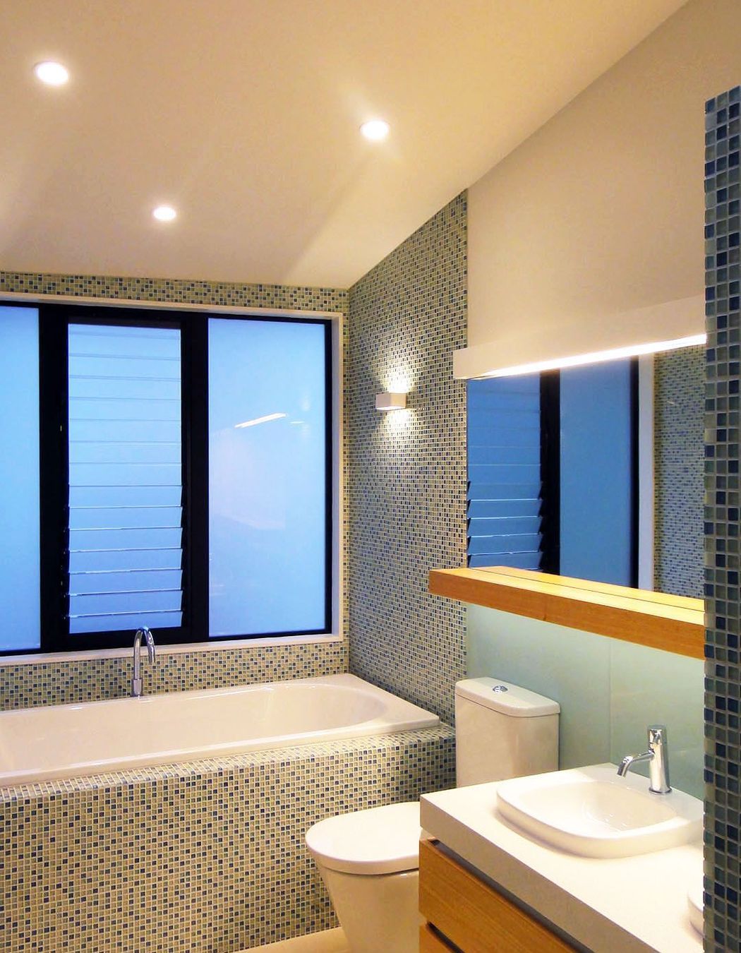 Contemporary New House in Point Chevalier
