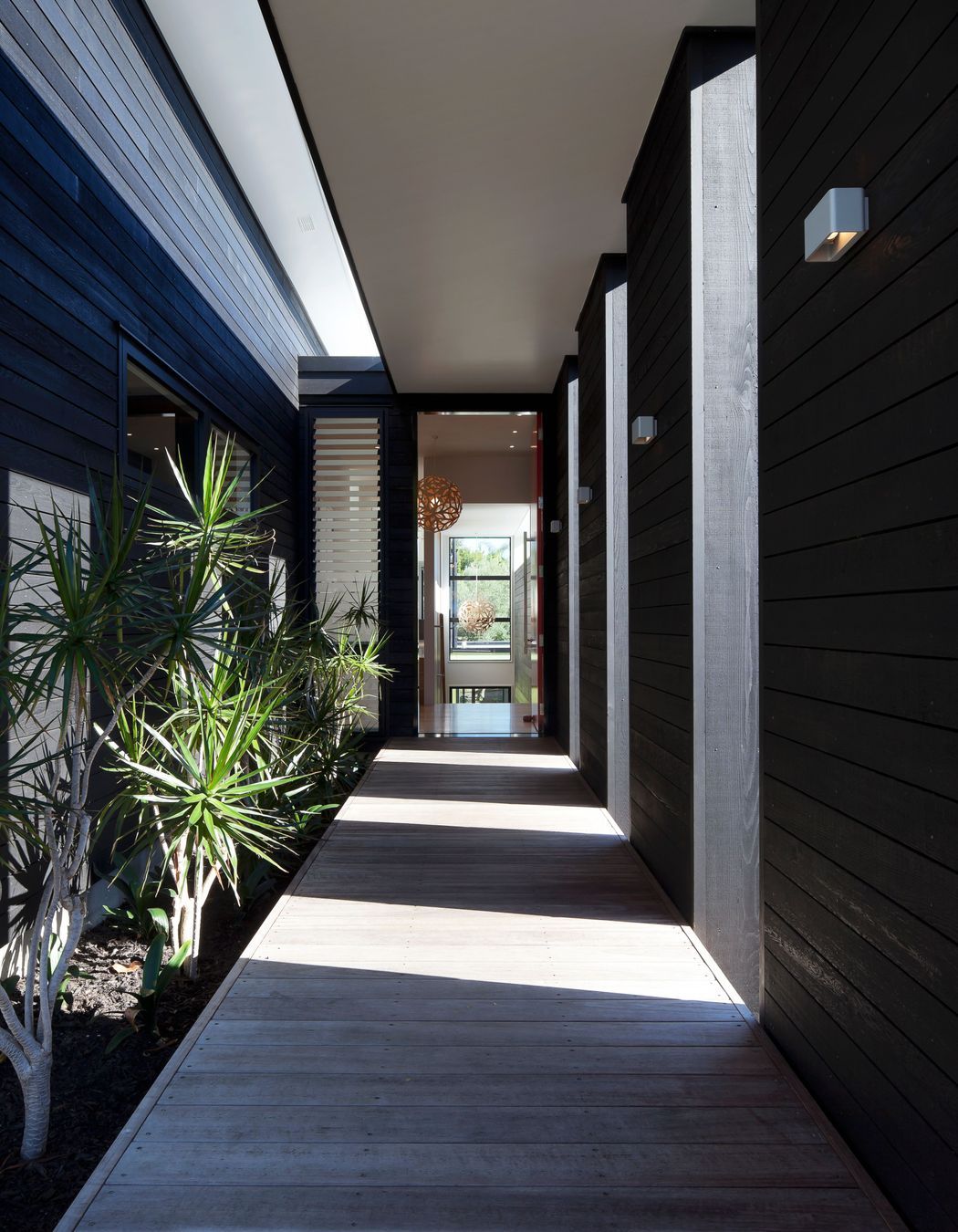 Contemporary New House in Point Chevalier