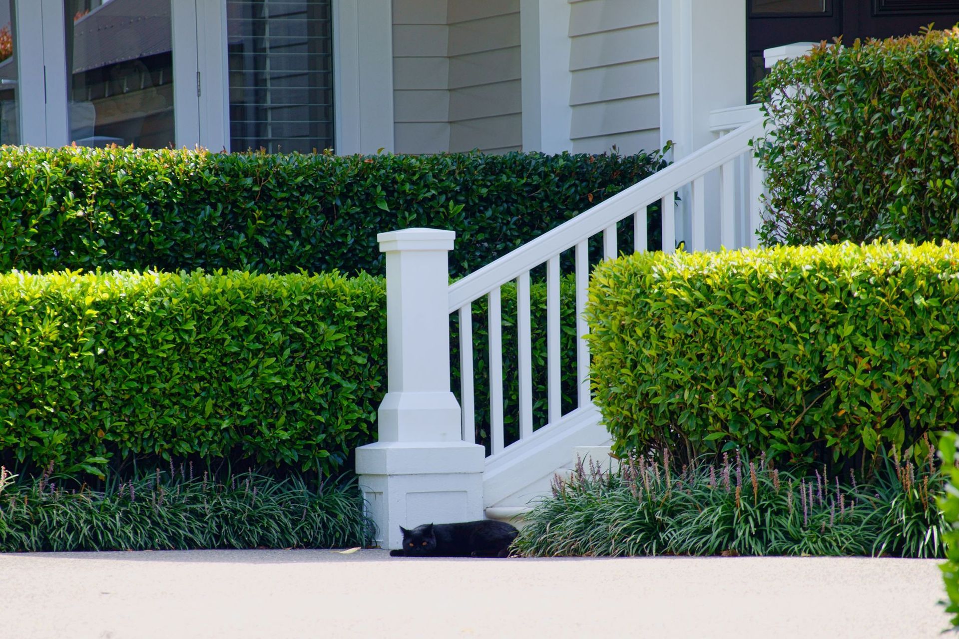 Takapuna House Alterations