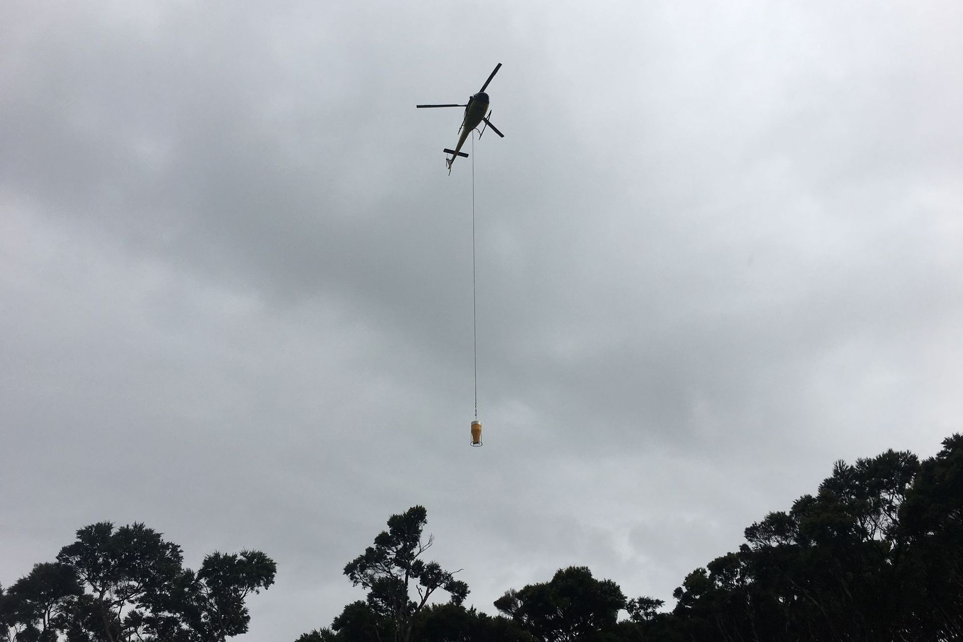Pohutukawa Bay | Kawau Island