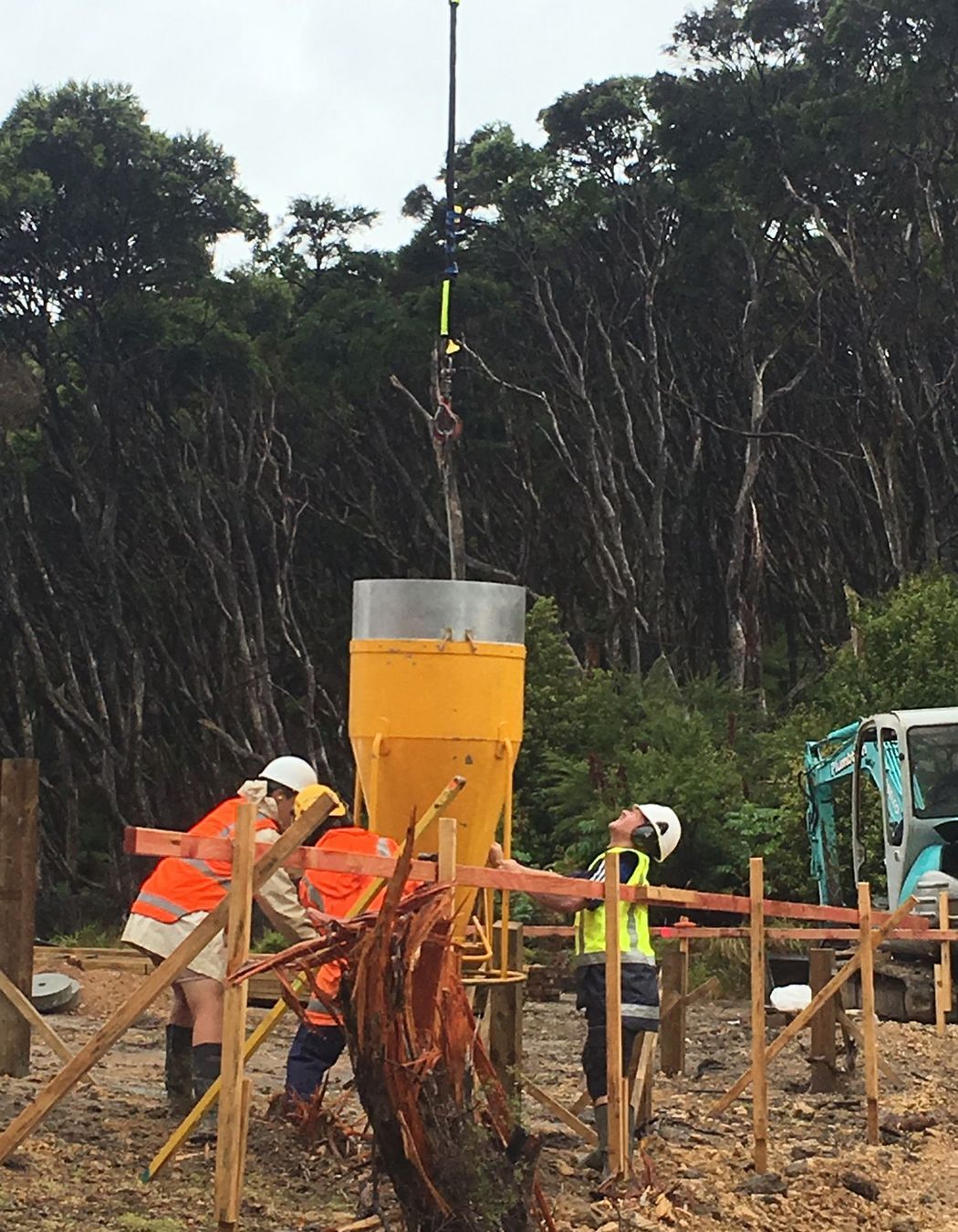 Pohutukawa Bay | Kawau Island