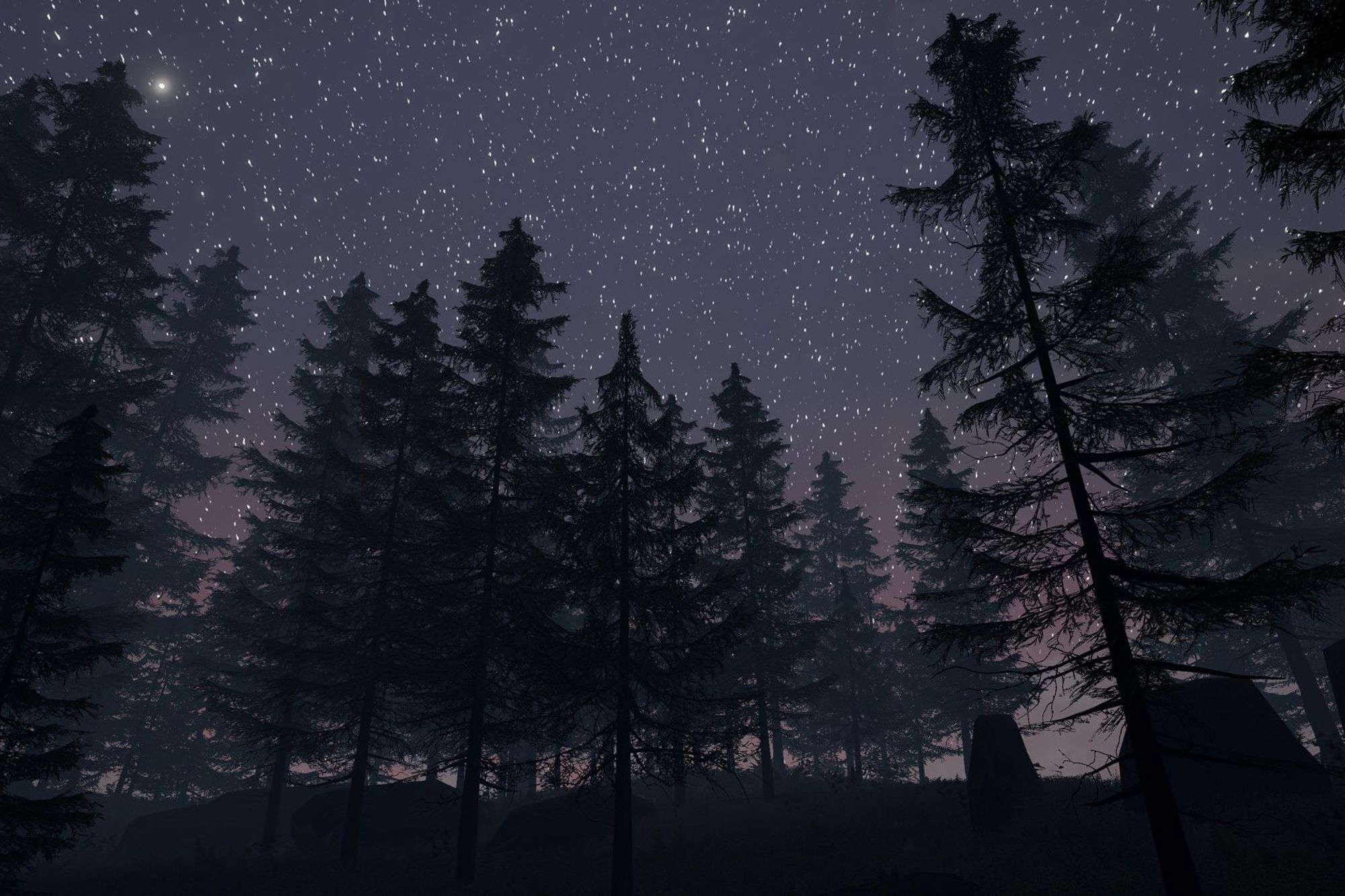 Virtual Reality Images