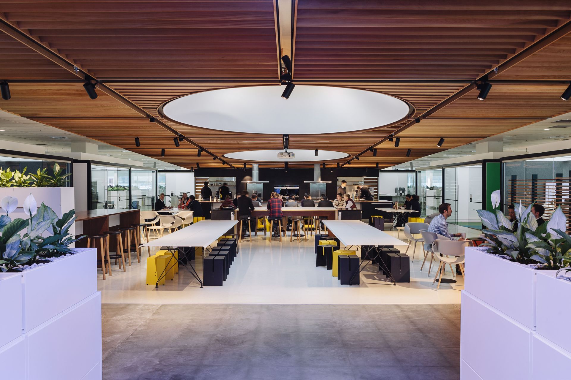 Fisher & Paykel Design Centre