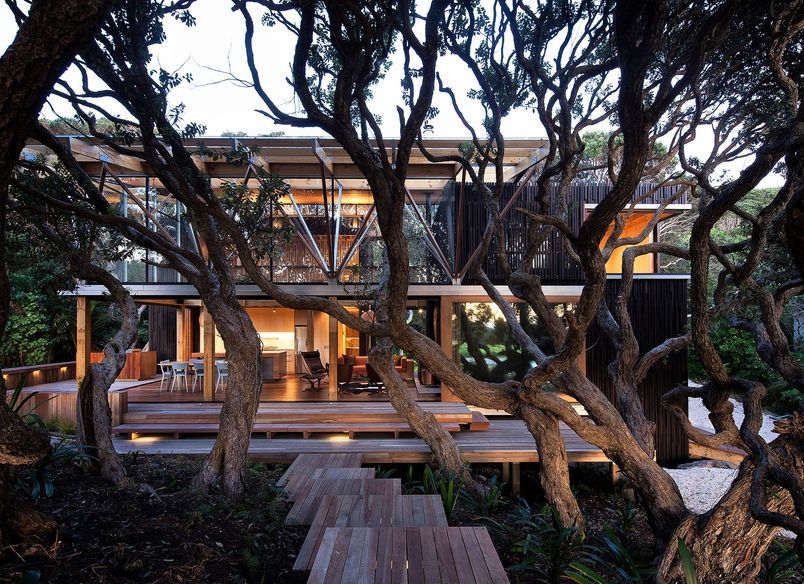 Under Pohutukawa
