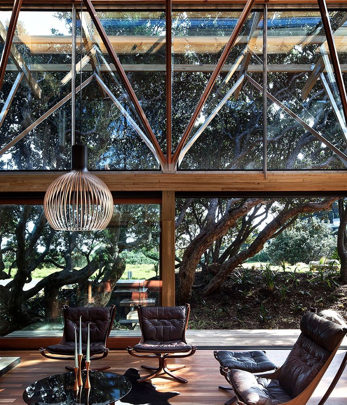 Under Pohutukawa