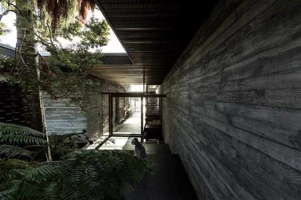 A dark, sheltered architectural passage or courtyard walkway with a long horizontal concrete-block wall, exposed dark metal roof structure, and large glazed doors at the far end. Lush fern and tree planting occupies the left side, contrasting with the raw, linear construction. The space has a dramatic, moody atmosphere and appears to connect interior and exterior areas.