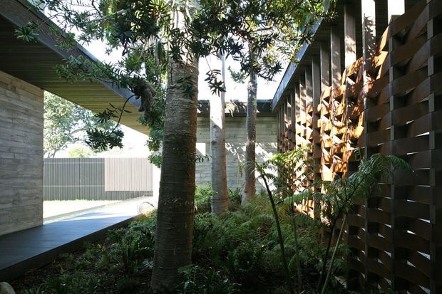 A landscaped courtyard or garden passage between modern architectural volumes, with mature tropical planting, textured concrete walls, dark timber decking, and a patterned timber privacy screen. Strong natural light filters through the trees, creating a calm indoor-outdoor transitional space.