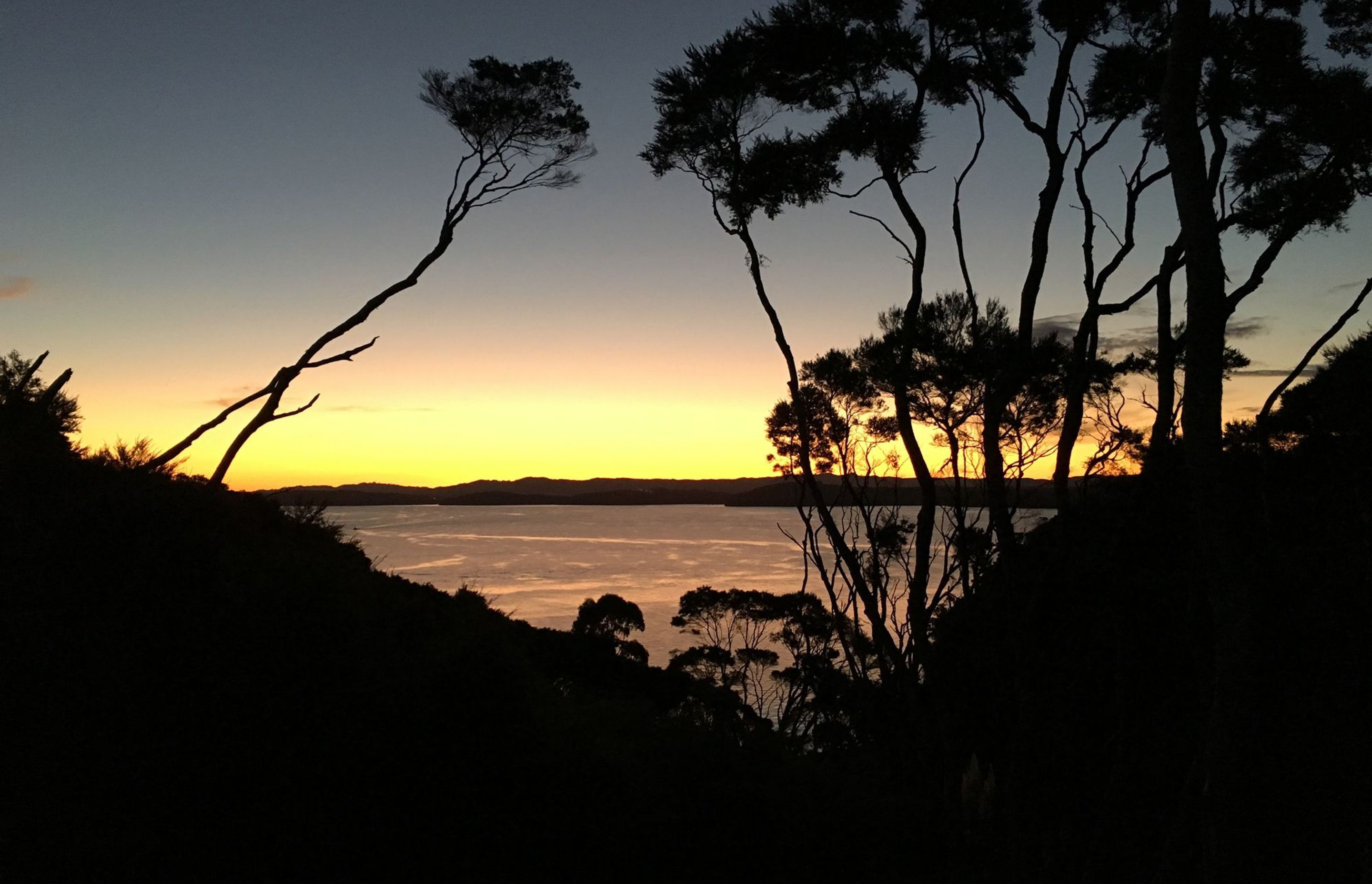 Pohutukawa Bay | Kawau Island