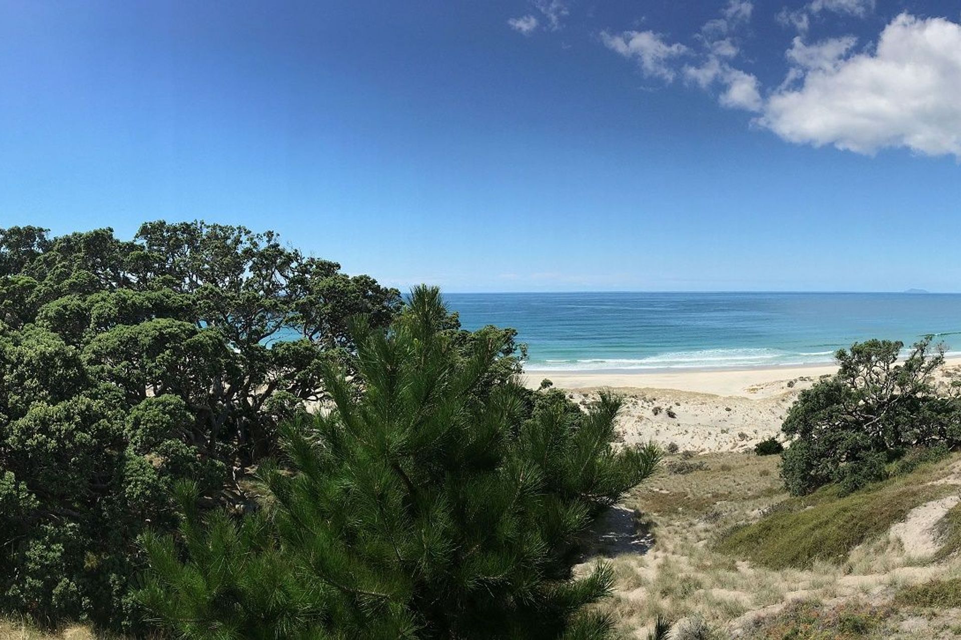 Great Barrier Retreat