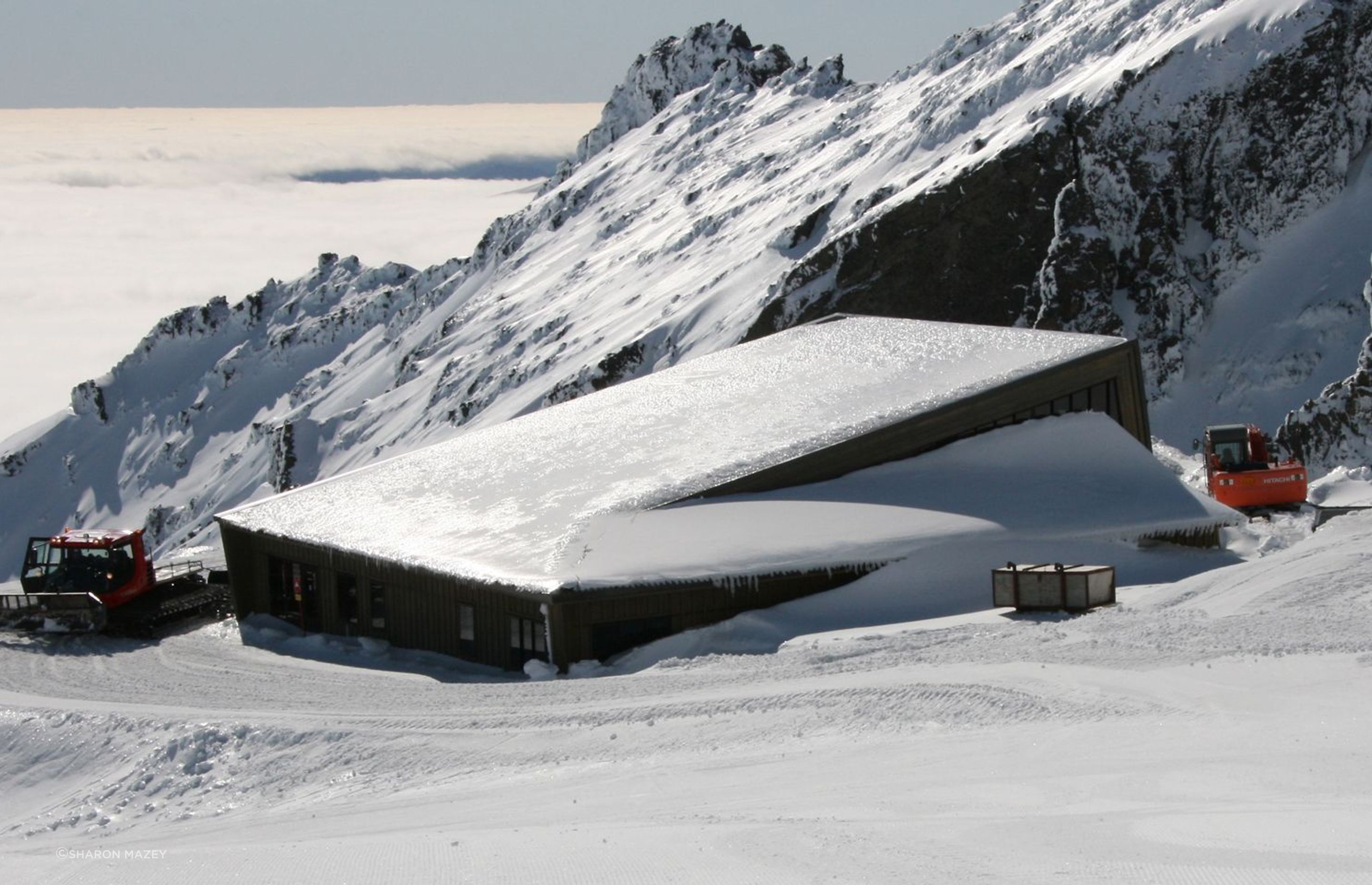 Knoll Ridge Cat Shed