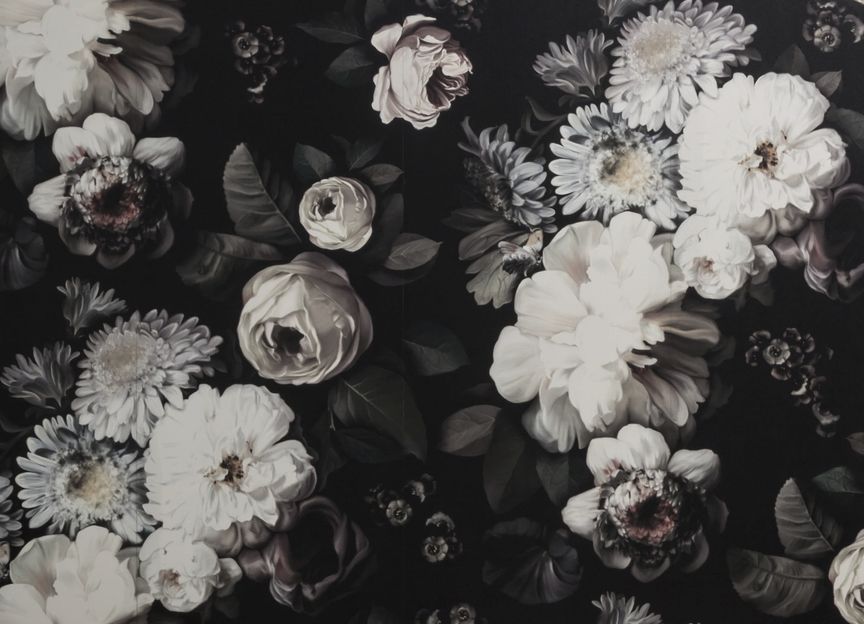 Janey Larsen Design