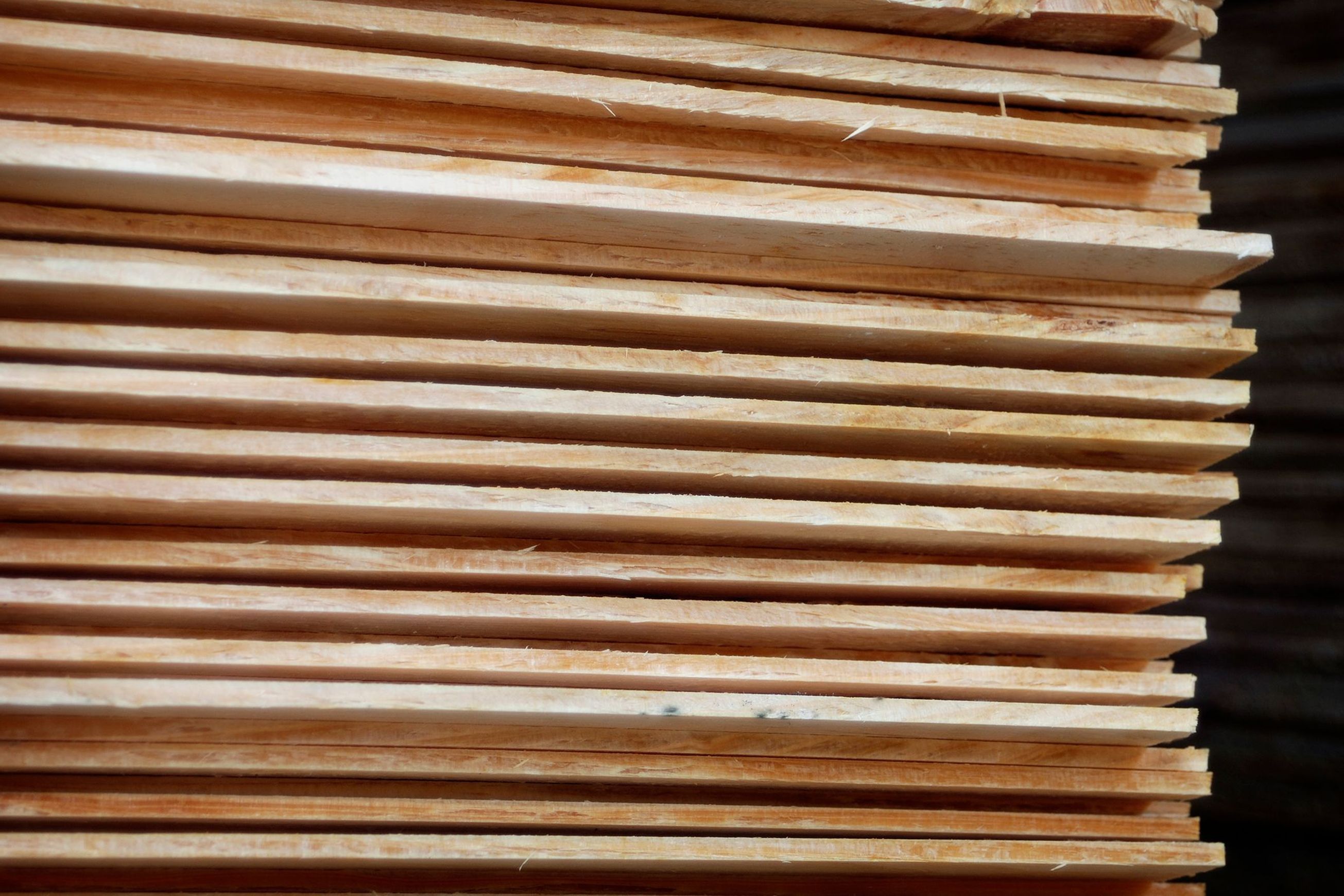 NZ Radiata Pine Veneer
